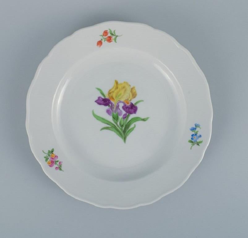 20th Century Meissen, Germany, Six Dinner Plates hand painted with Floral Motifs