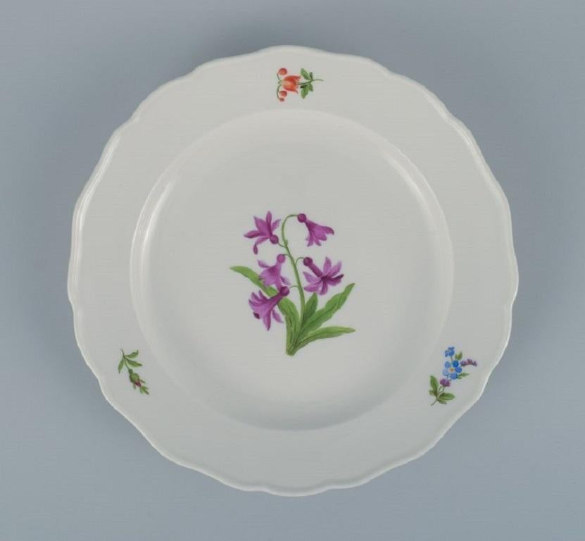 Porcelain Meissen, Germany, Six Dinner Plates hand painted with Floral Motifs