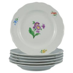 Meissen, Germany, Six Dinner Plates hand painted with Floral Motifs
