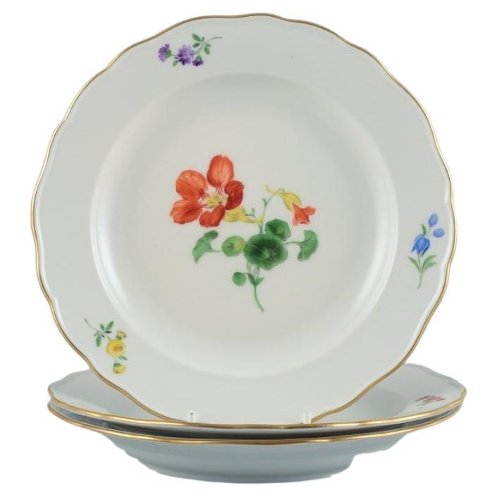 Meissen, Germany, Three Porcelain Plates Hand Painted with Floral Motifs For Sale