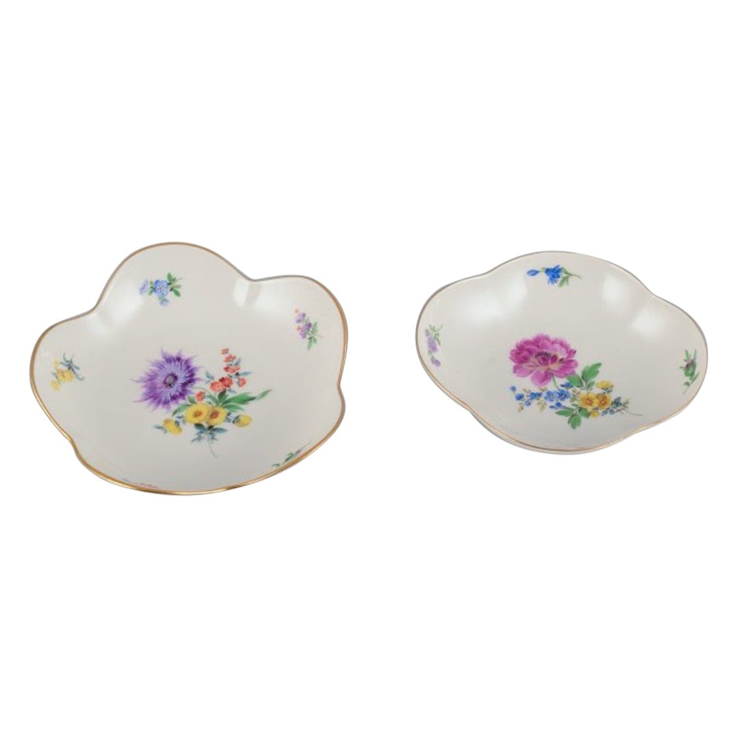 Meissen, Allemagne. Deux bols en porcelaine peints à la main avec des fleurs polychromes.