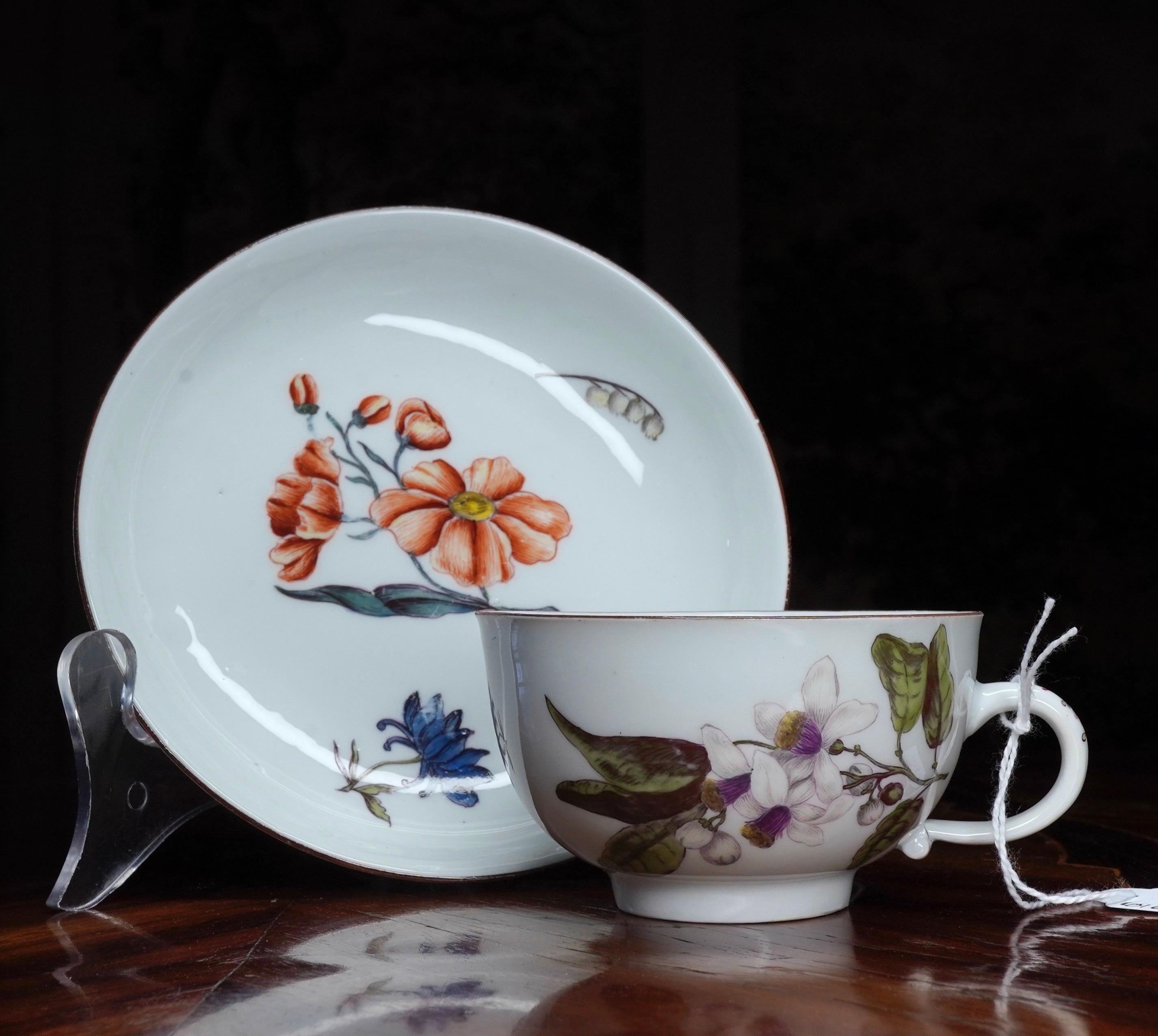 cup and saucer flower