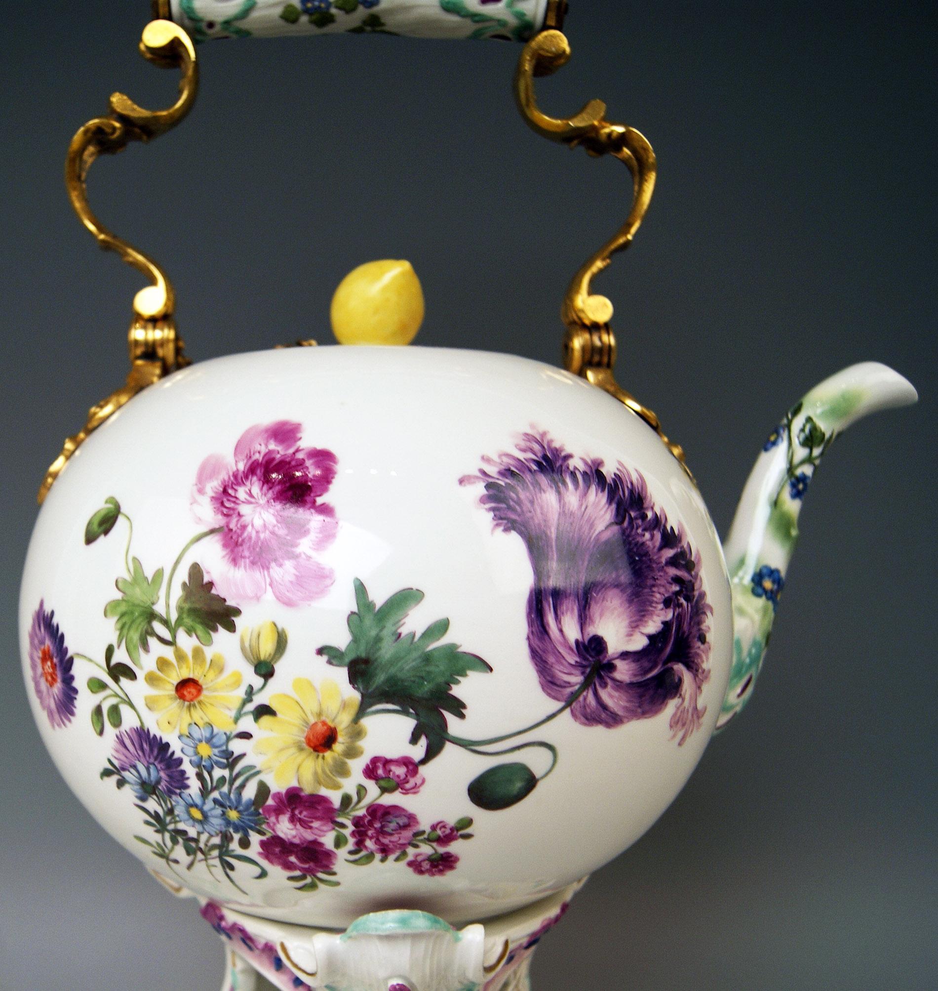 Meissen Huge Tea Pot and Warmer Rococo Period Flowers Paintings Höroldt Era 1750 2