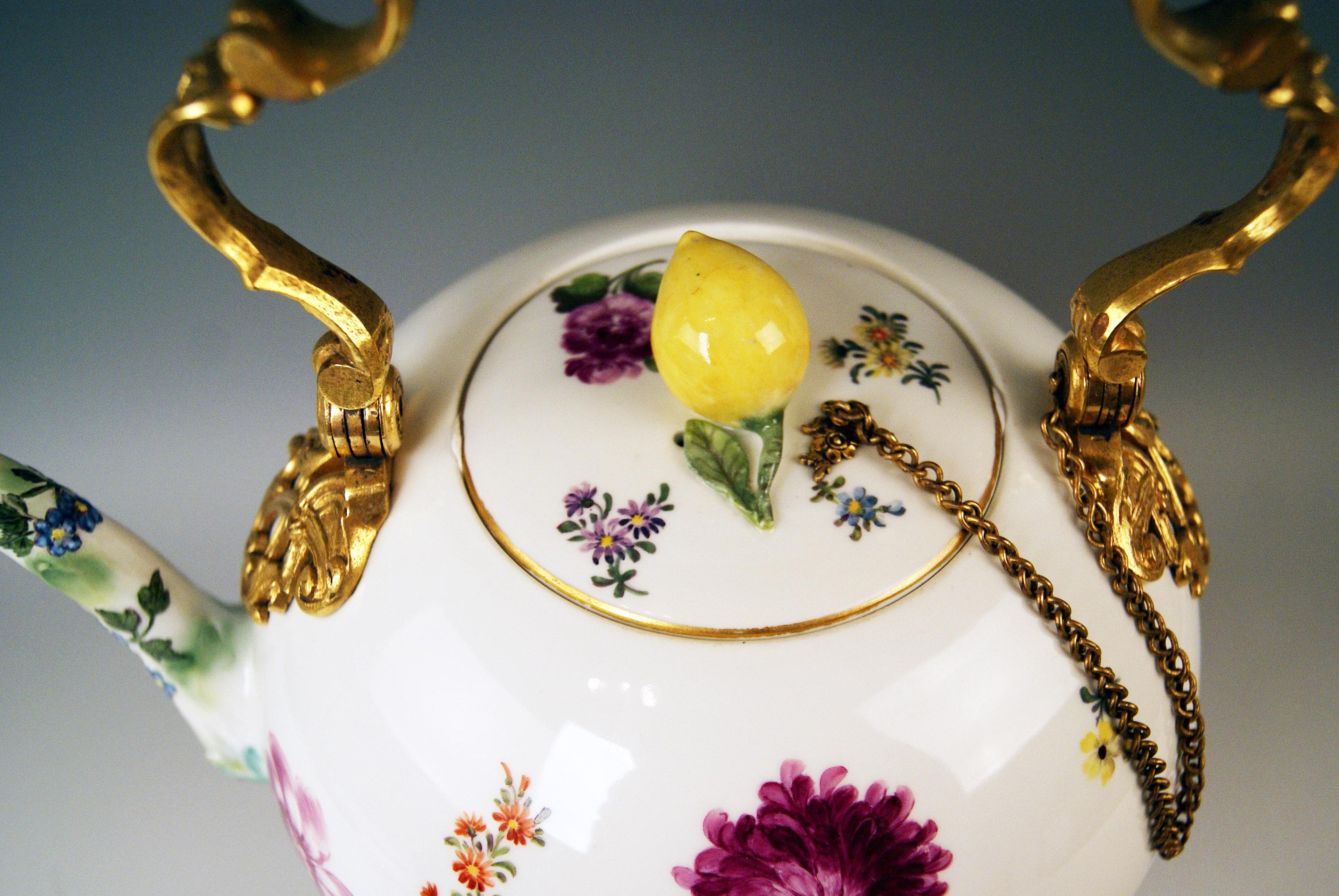 Porcelain Meissen Huge Tea Pot and Warmer Rococo Period Flowers Paintings Höroldt Era 1750
