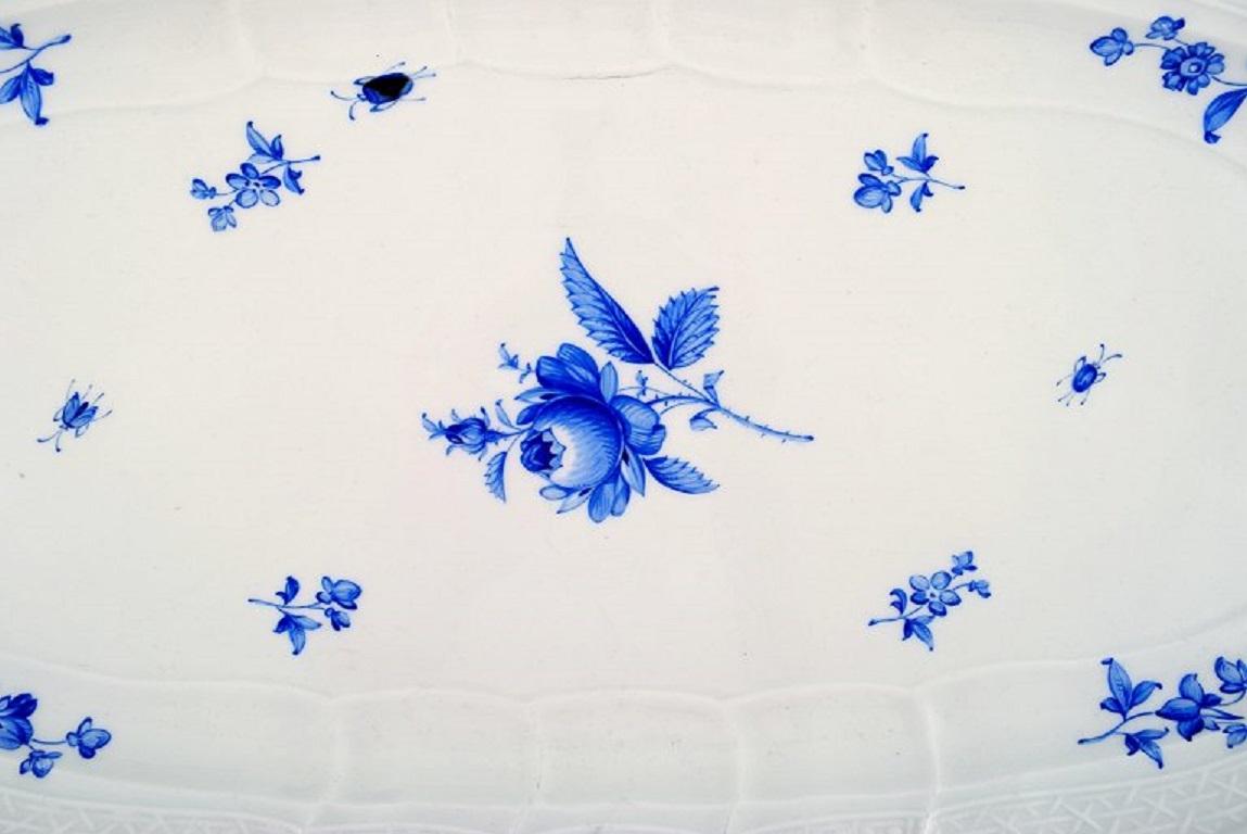 German Meissen Large Fish Dish in Porcelain, Hand Painted with Blue Roses and Beetles For Sale