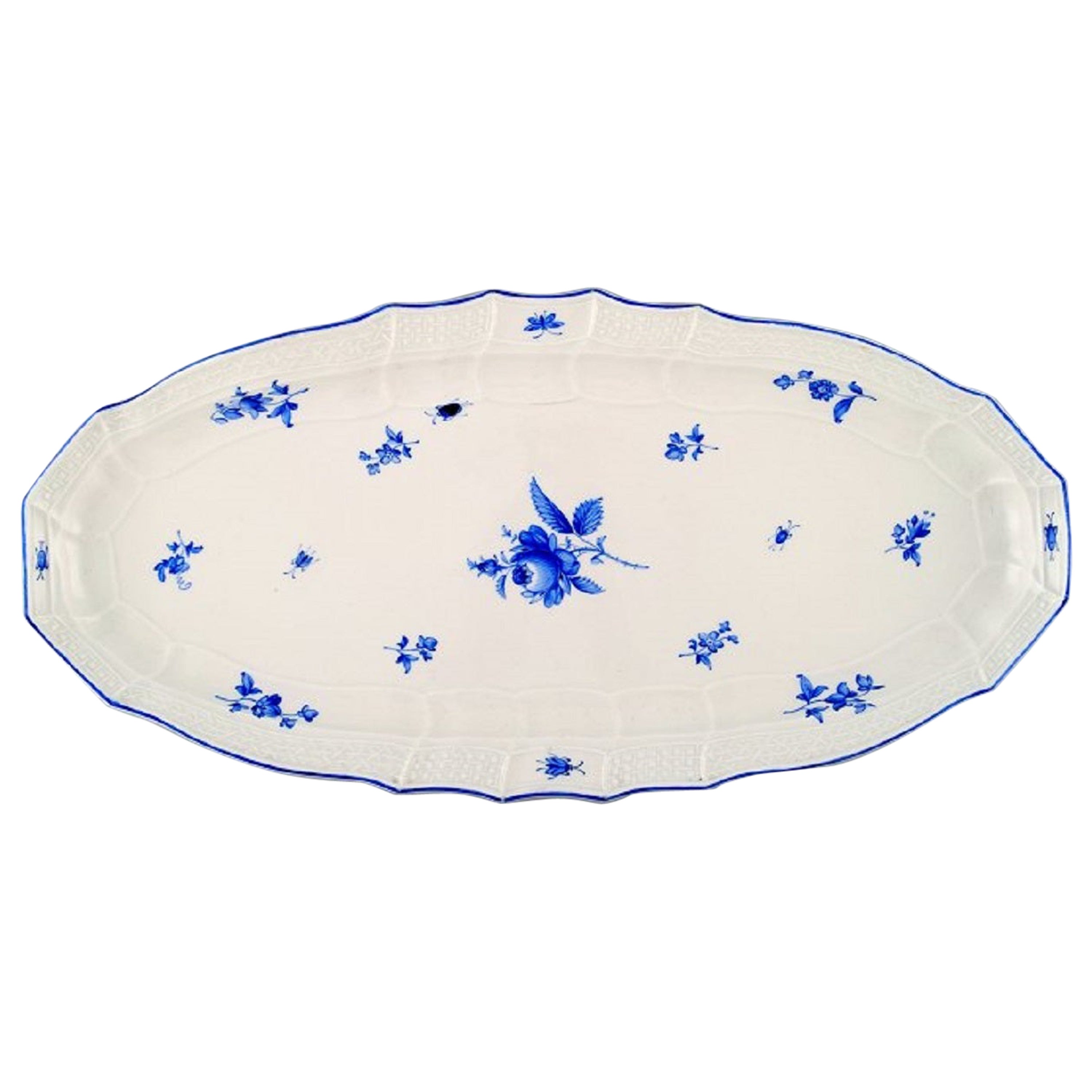 Grand plat à poisson de Meissen en porcelaine, peint à la main avec des roses bleues et des scarabées