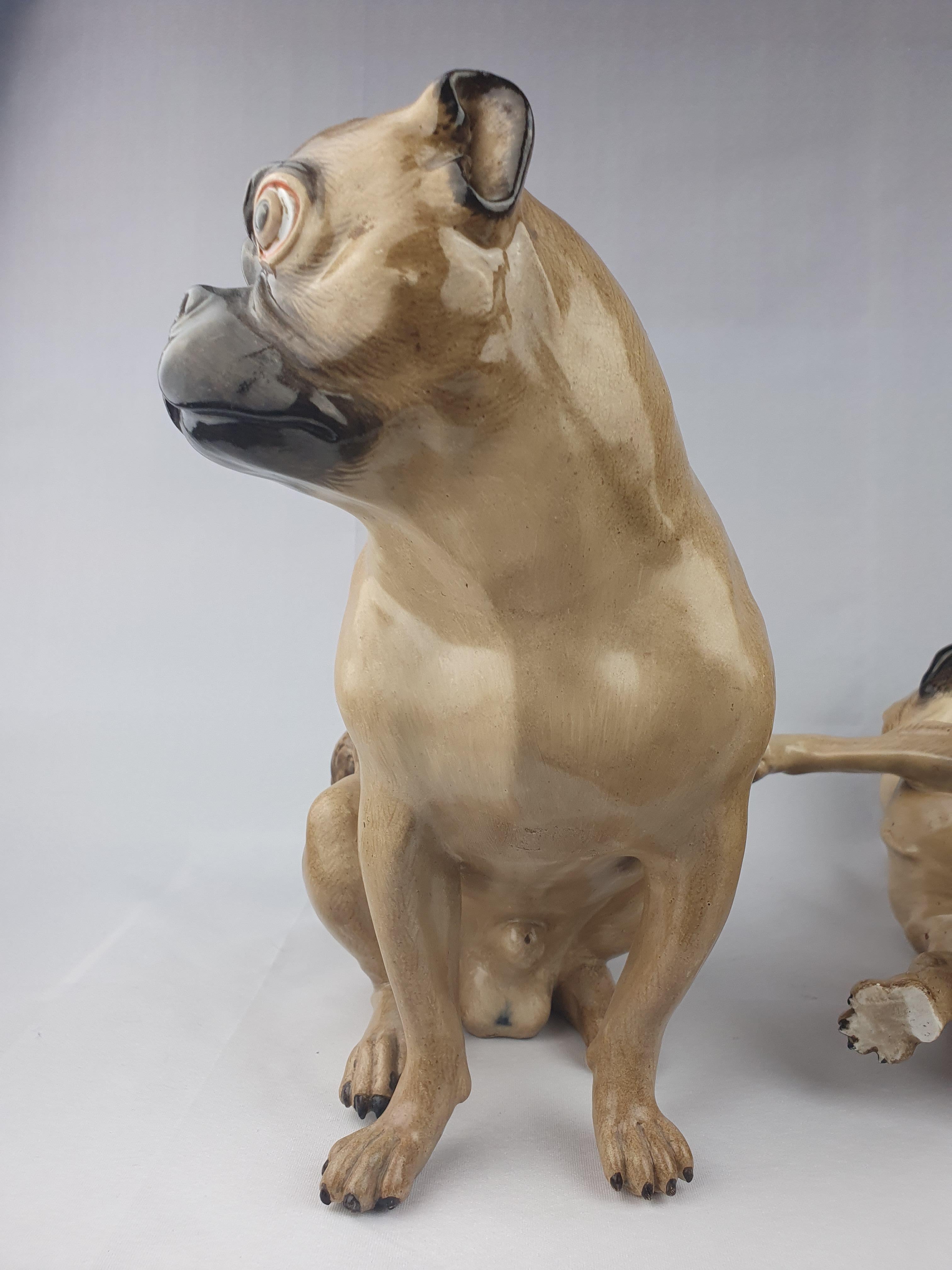 Meissen Large Pair of Pugs with Pup For Sale 5