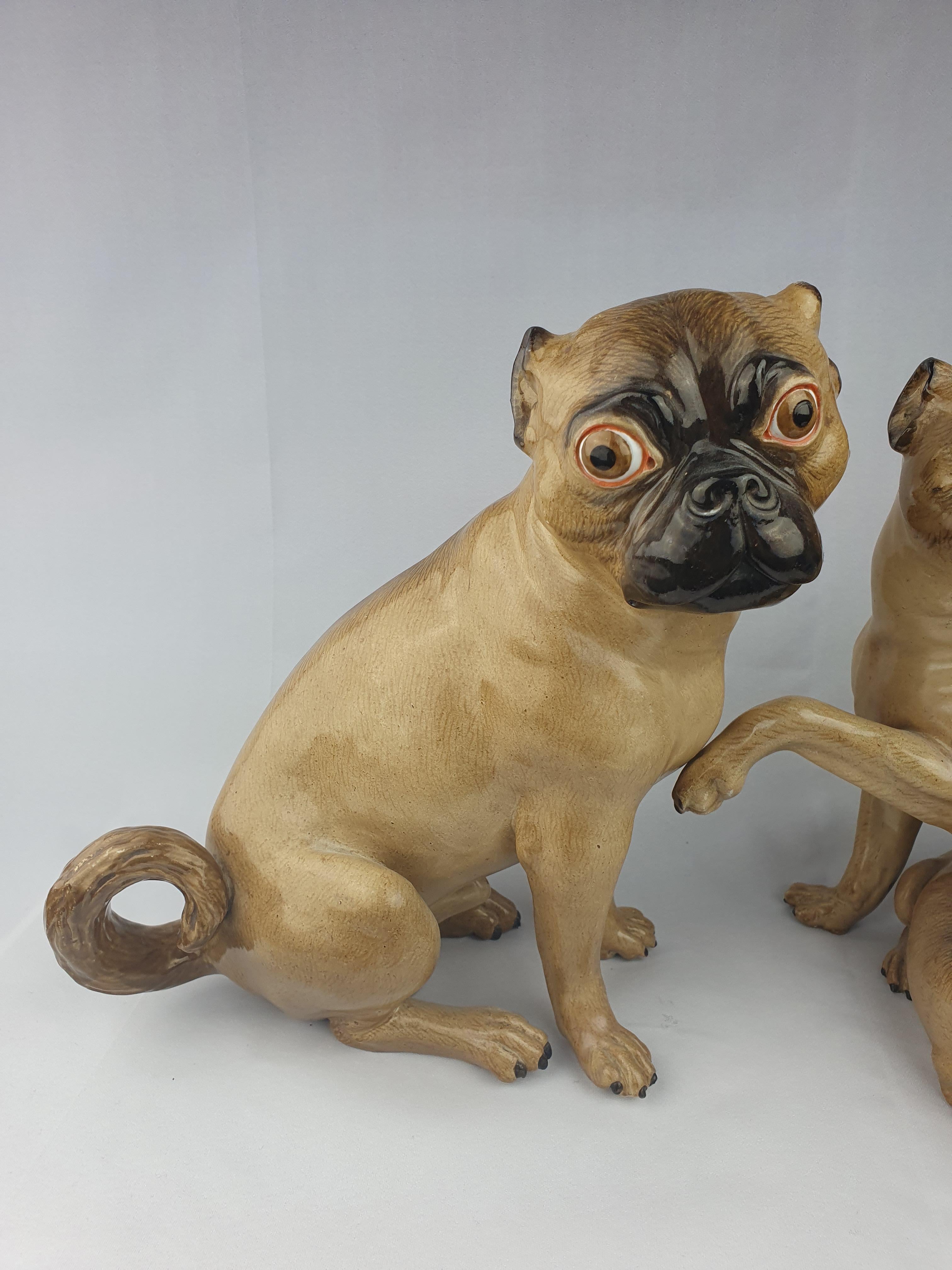 Pair Meissen Pugs first modelled by J J Kaendler 1771.

Female with puppy and both Male and Female pugs in seated position.

Height of Male – 25cm
Height Female – 23cm

Both with marks underglaze blue.

Circa 1840.