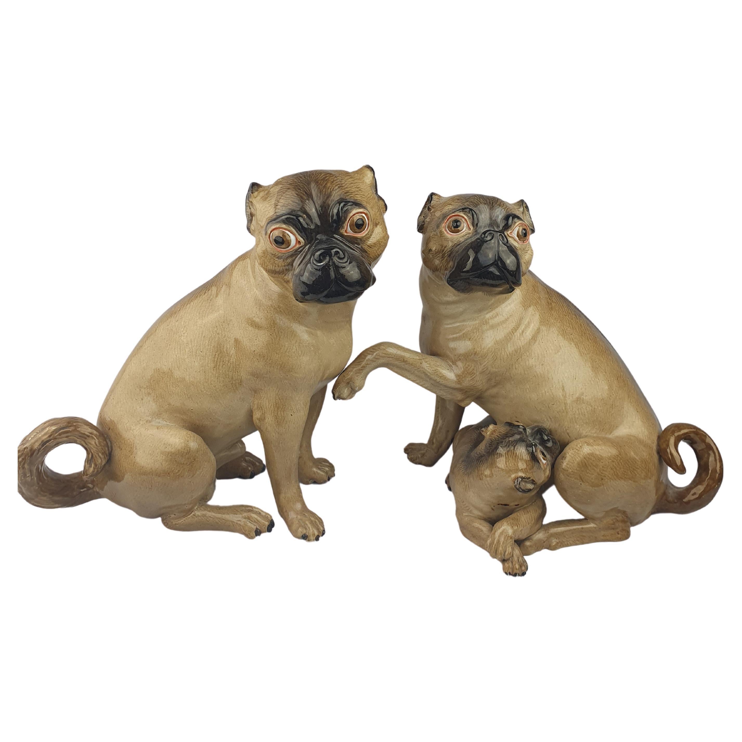 Meissen Large Pair of Pugs with Pup For Sale