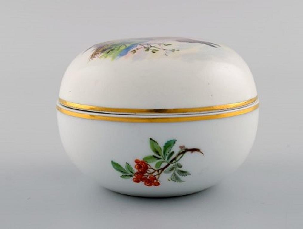Porcellana Vaso con coperchio di Meissen Porcelain dipinto a mano con lepre, XX secolo in vendita