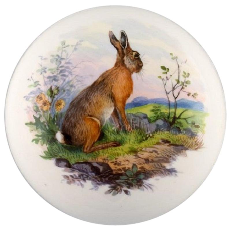 Meissener Deckelglas aus handbemaltem Porzellan mit Hare, 20. Jahrhundert