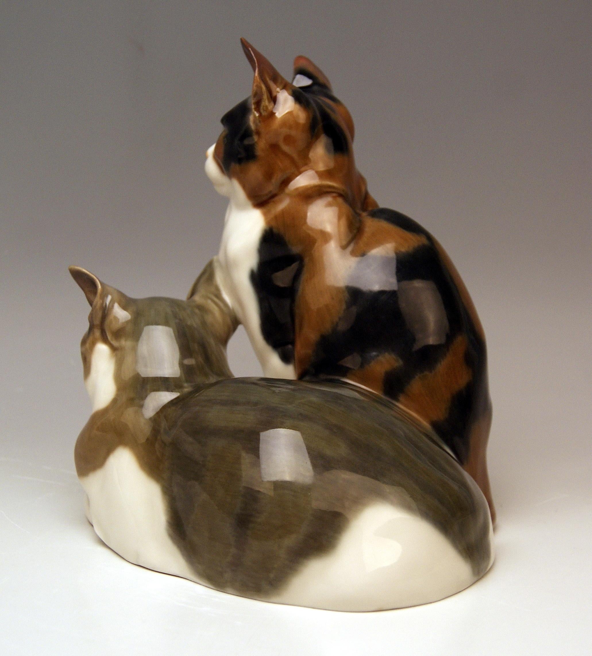 Art Nouveau Meissen Pair of Lovely Animals Domestic Cats by Otto Pilz Model H 103 c. 1906-10
