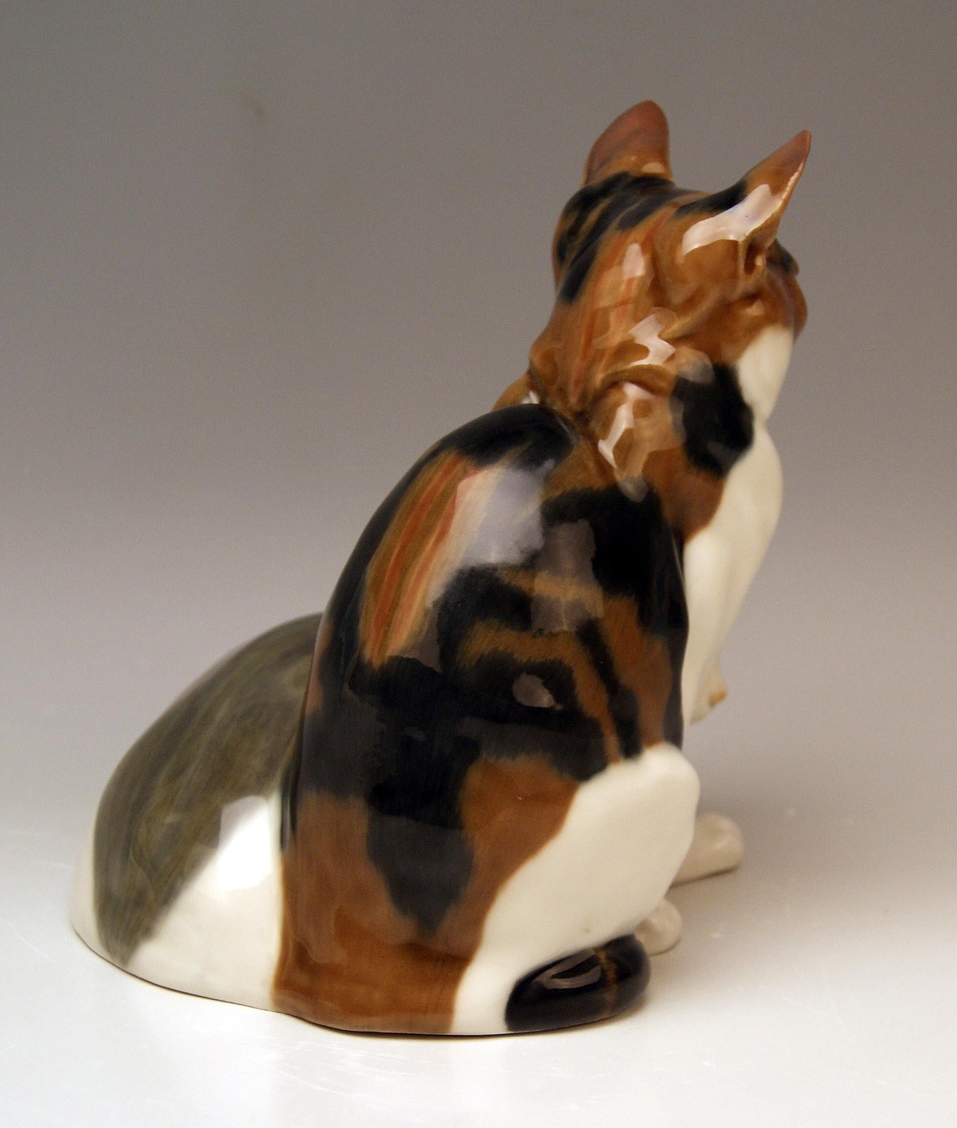 German Meissen Pair of Lovely Animals Domestic Cats by Otto Pilz Model H 103 c. 1906-10