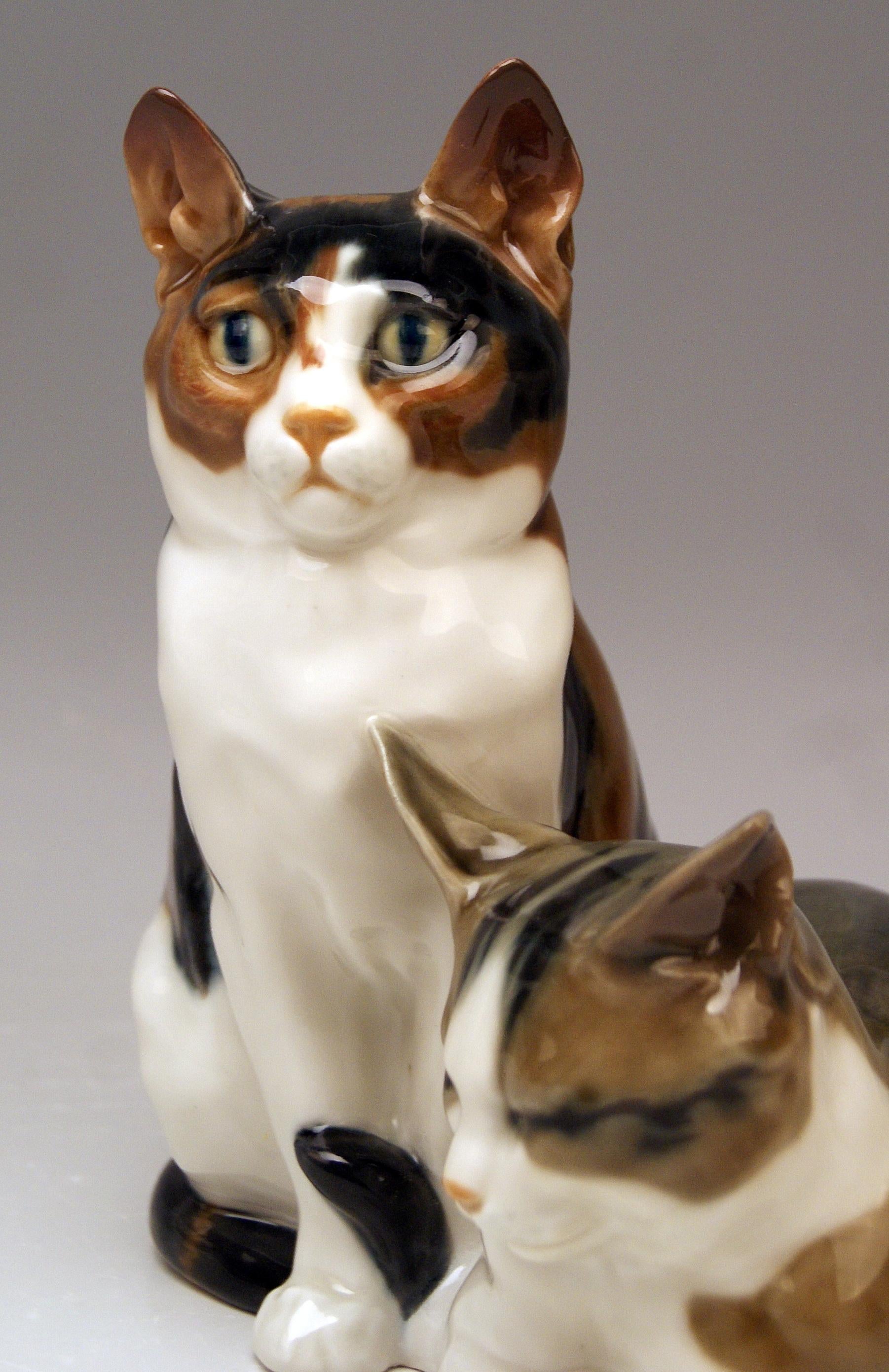 Painted Meissen Pair of Lovely Animals Domestic Cats by Otto Pilz Model H 103 c. 1906-10