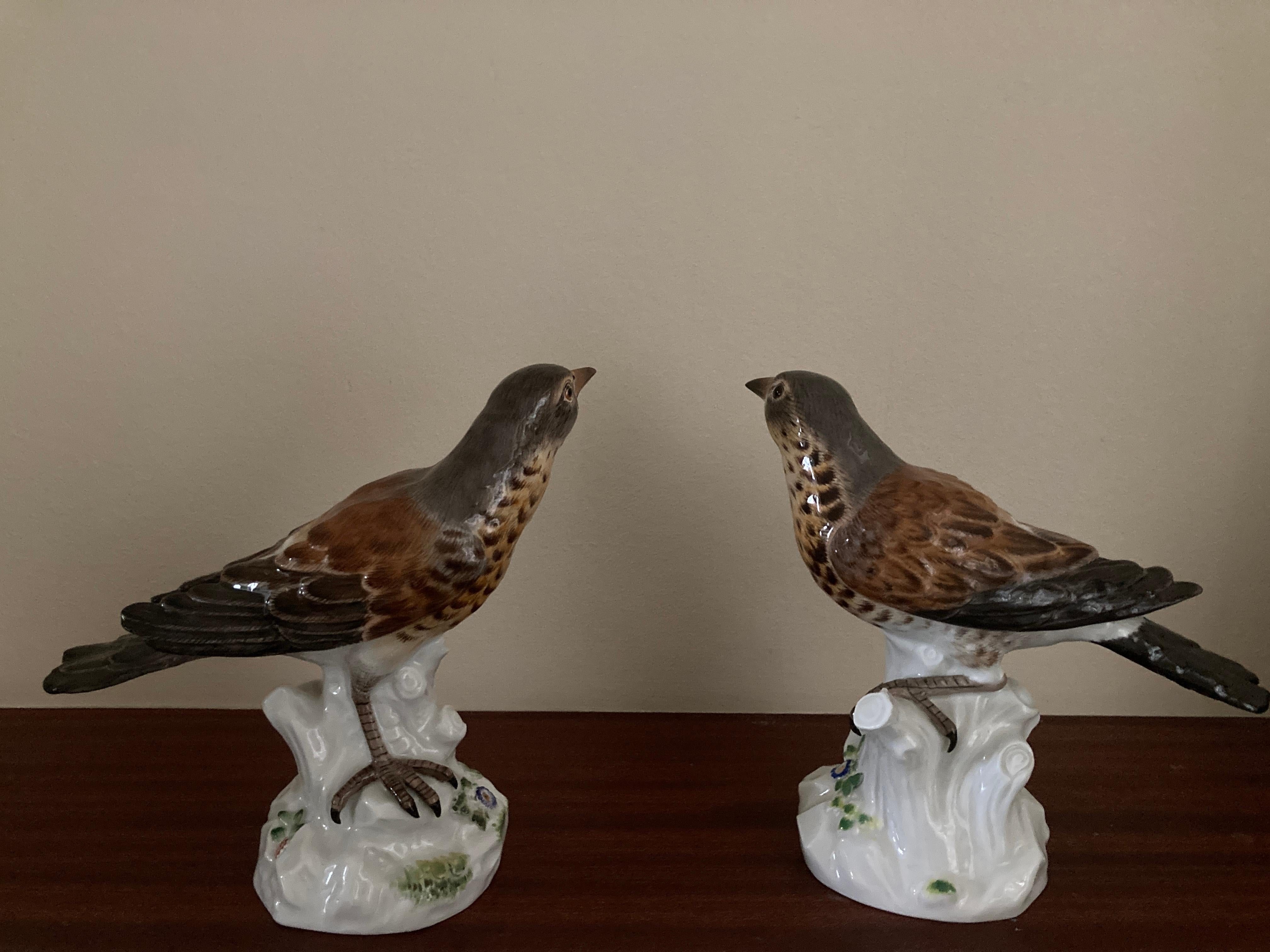 Meissen 'Pair of Thrushes' , Models 1023 & 649, 20th Century versions 

Both birds (one a Song Thrush , the other Fieldfare) perched on tree stumps bases with flower decoration. Blue sword marks and inscribed model numbers on base.

Original