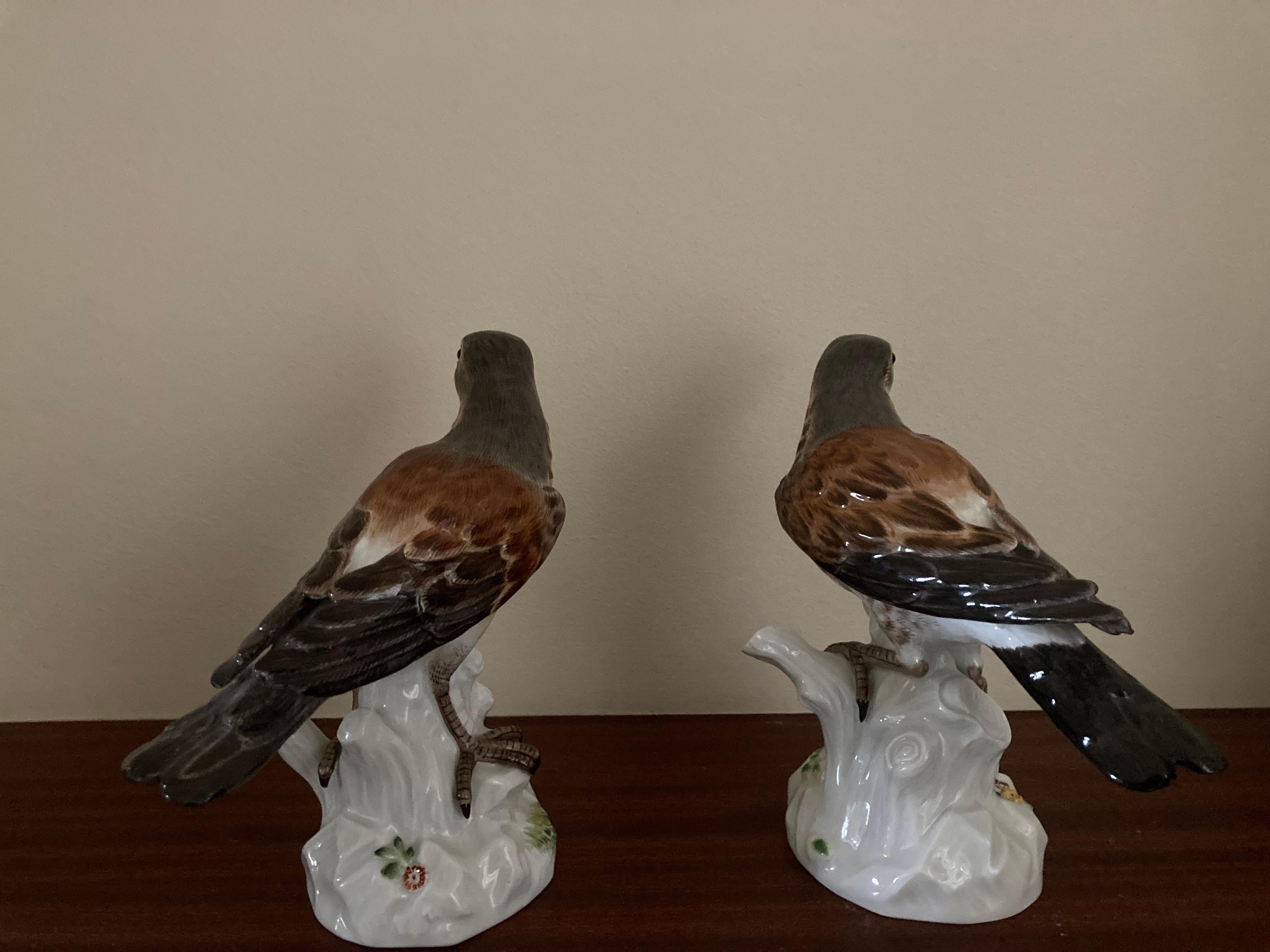 Rococo Meissen 'Pair of Thrushes' , Models 1023 & 649 For Sale