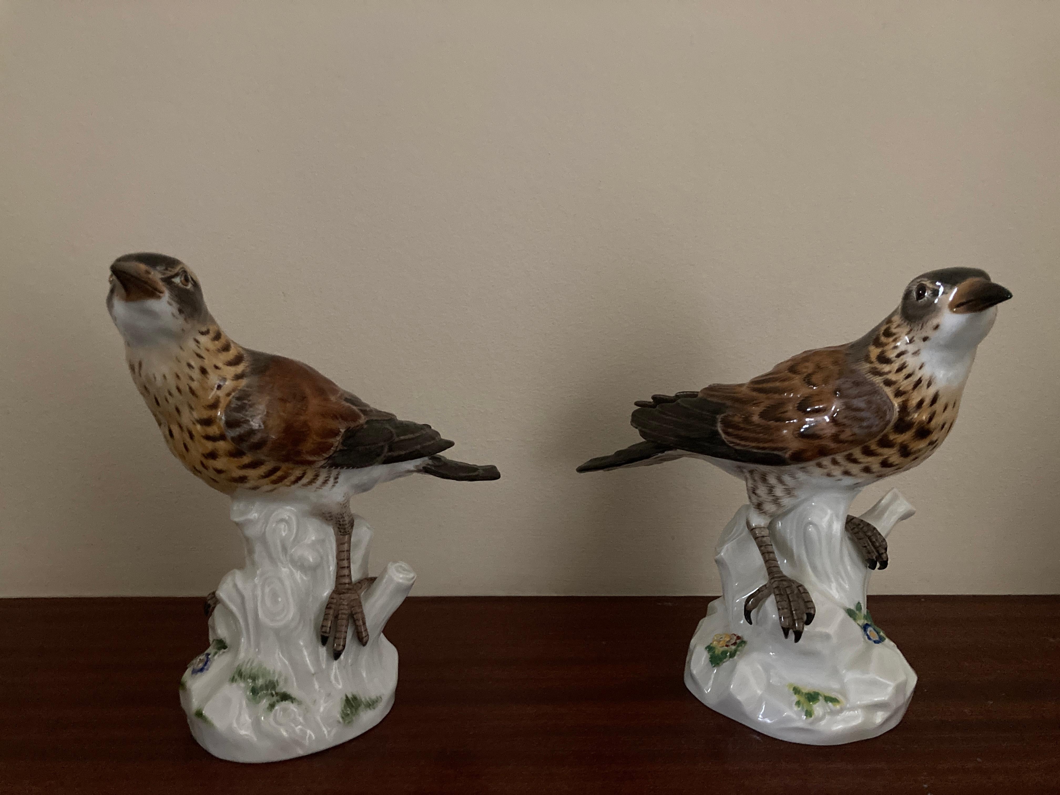 20th Century Meissen 'Pair of Thrushes' , Models 1023 & 649 For Sale