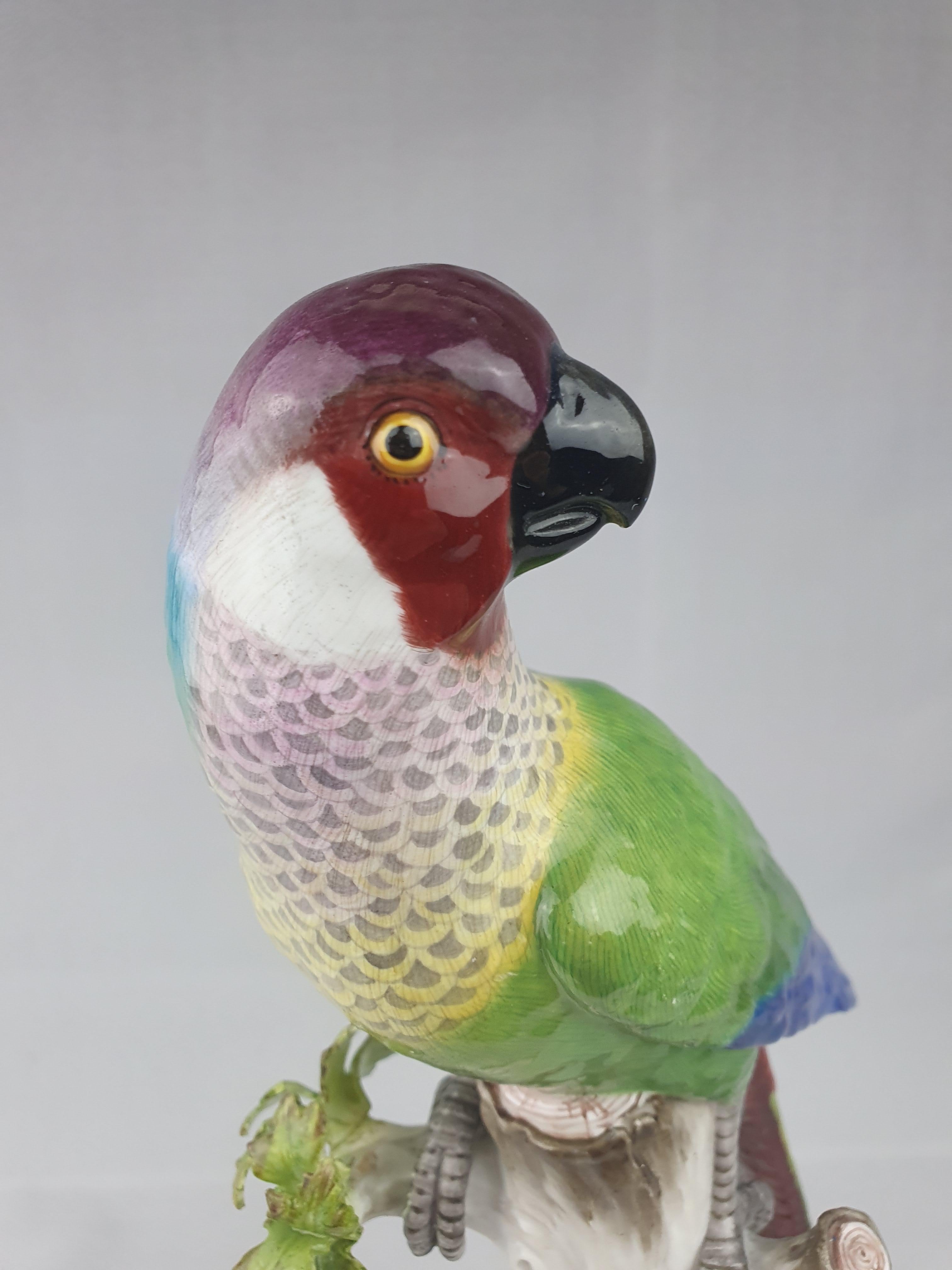 German Meissen Parrot Green and Blue Plumage For Sale