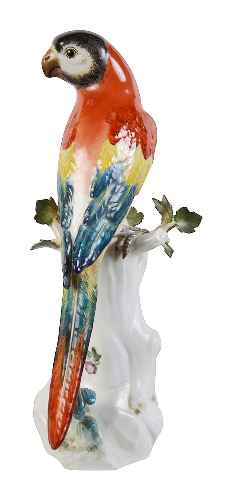 German Meissen Parrot, late 19th century. For Sale