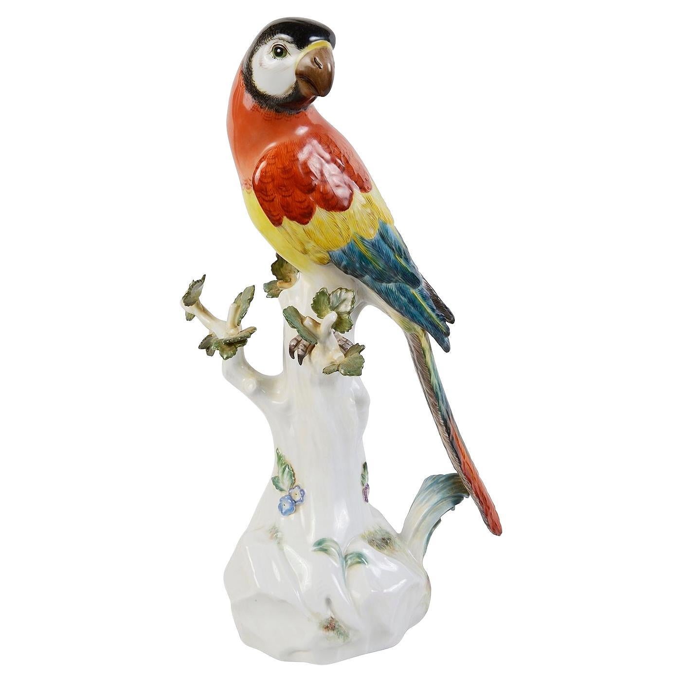 Meissen Parrot, late 19th century. For Sale