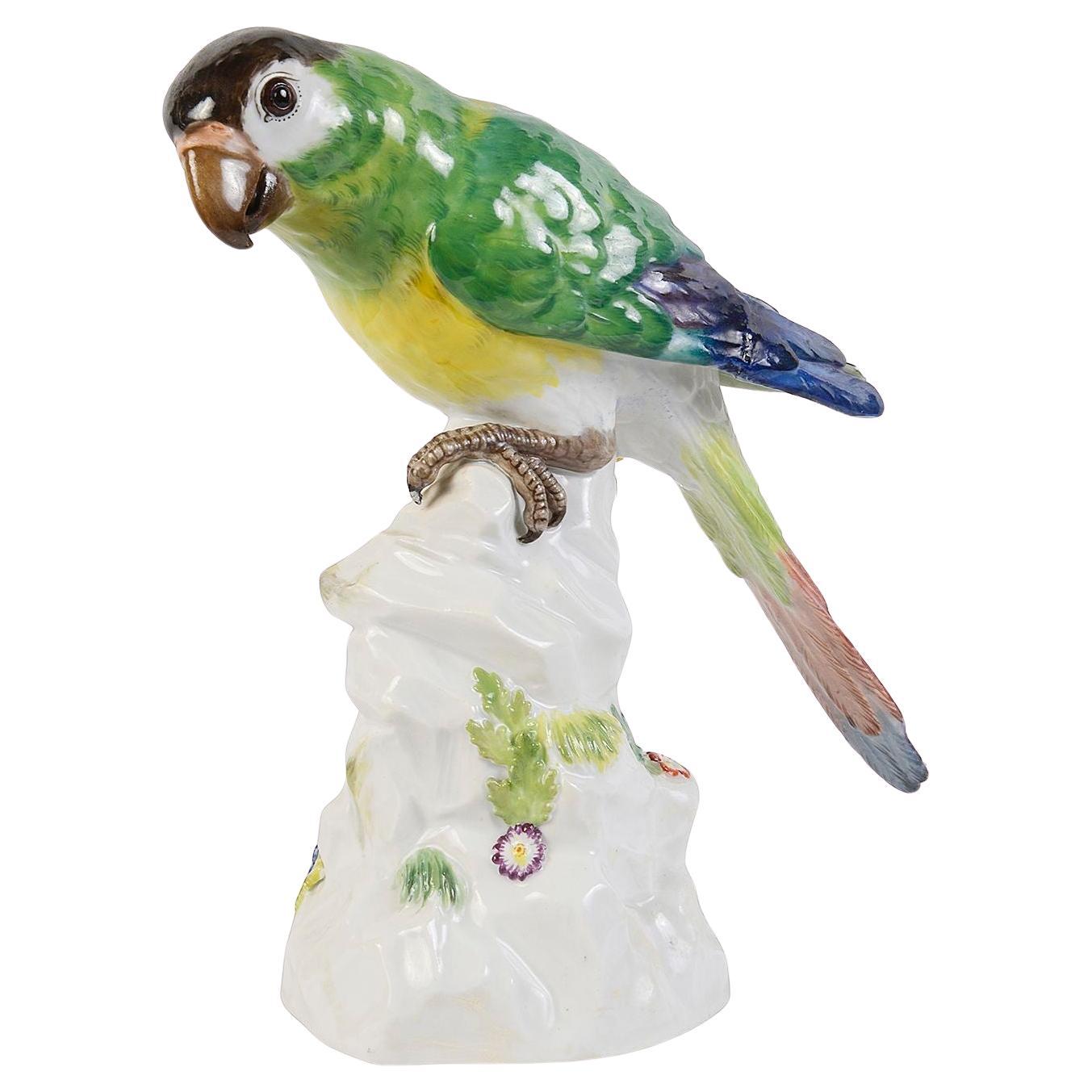 Meissen Parrot, late 19th Century For Sale