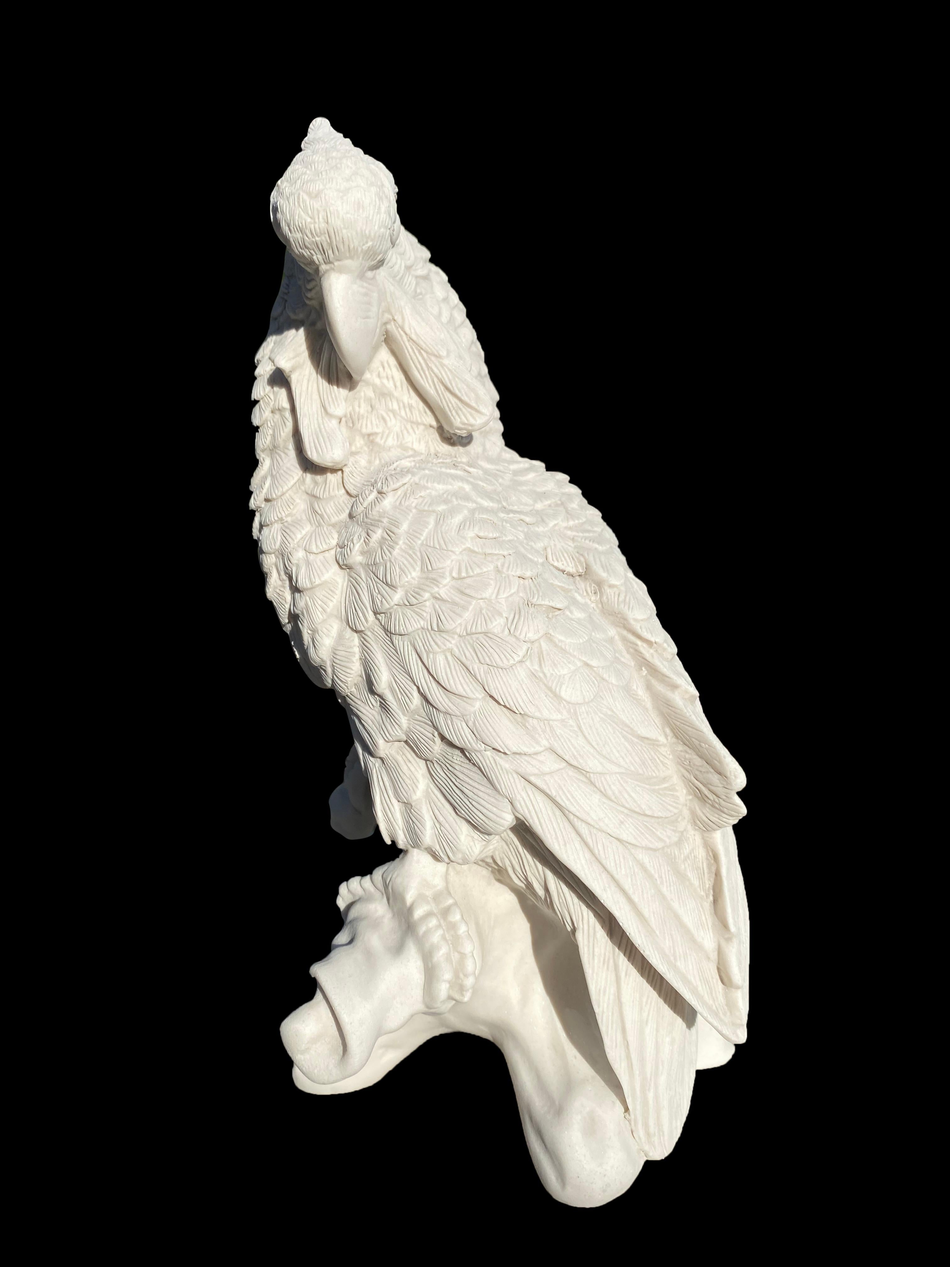 Meissen Parrots Sculptures, 20th Century 7