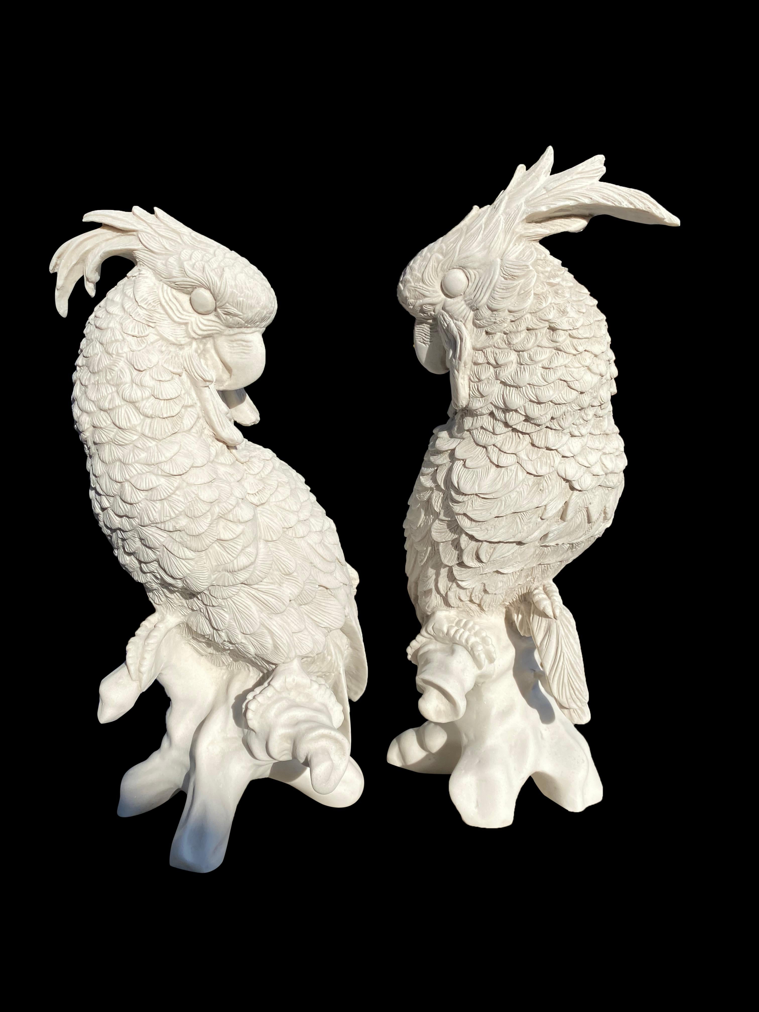 A gorgeous pair of Meissen parrots sculptures, 20th century.

Meissen Porcelain or Meissen China was the first European hard-paste porcelain. Early experiments were done in 1708 by Ehrenfried Walther von Tschirnhaus. After his death that October,