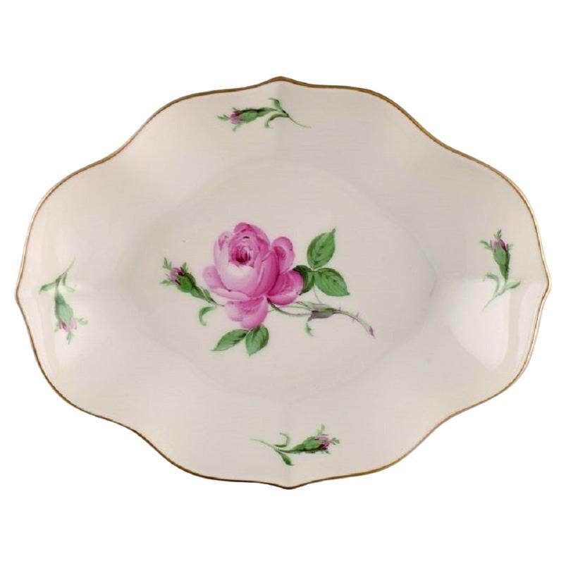 Meissen Pink Rose Bowl in Hand-Painted Porcelain with Gold Edge, Early 20th C