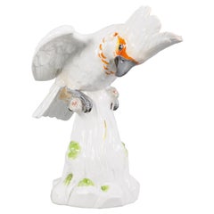 Meissen Porcelain Cockatoo Bird, circa 1880