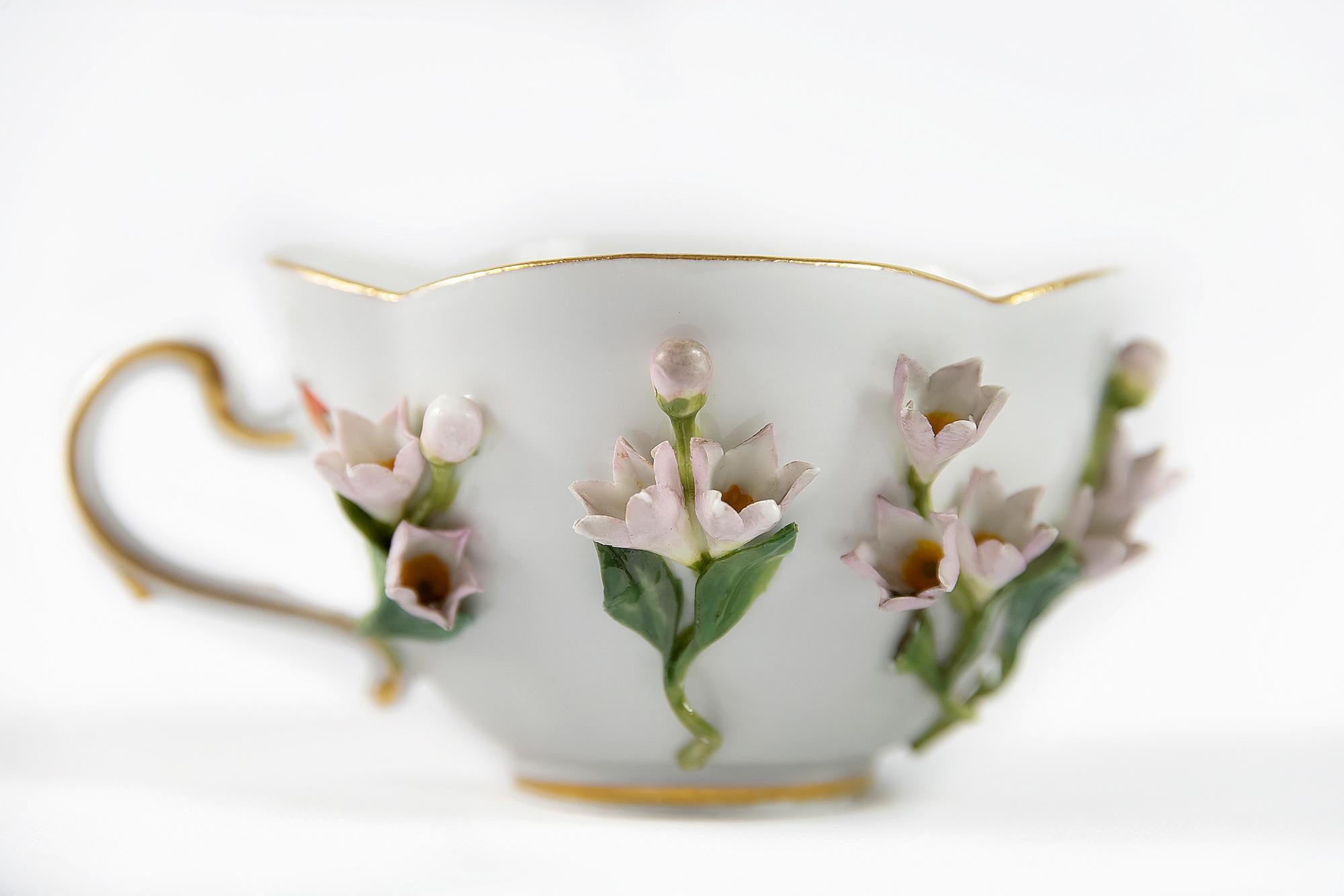 German Meissen Porcelain Coffee Cup with Saucer