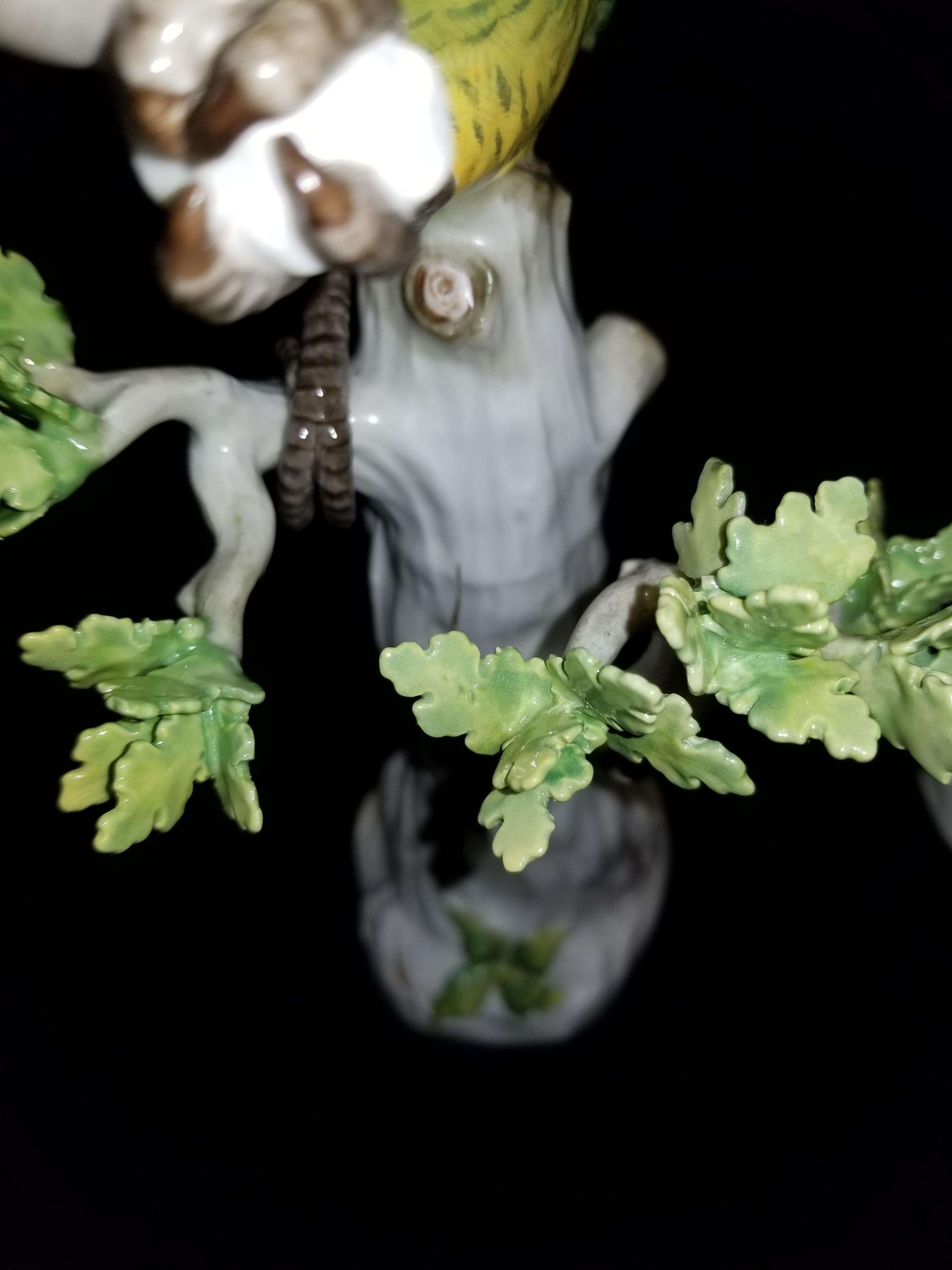 Meissen Porcelain Figures of Parrots Standing on Tree Branches with Leaves, Pair 3