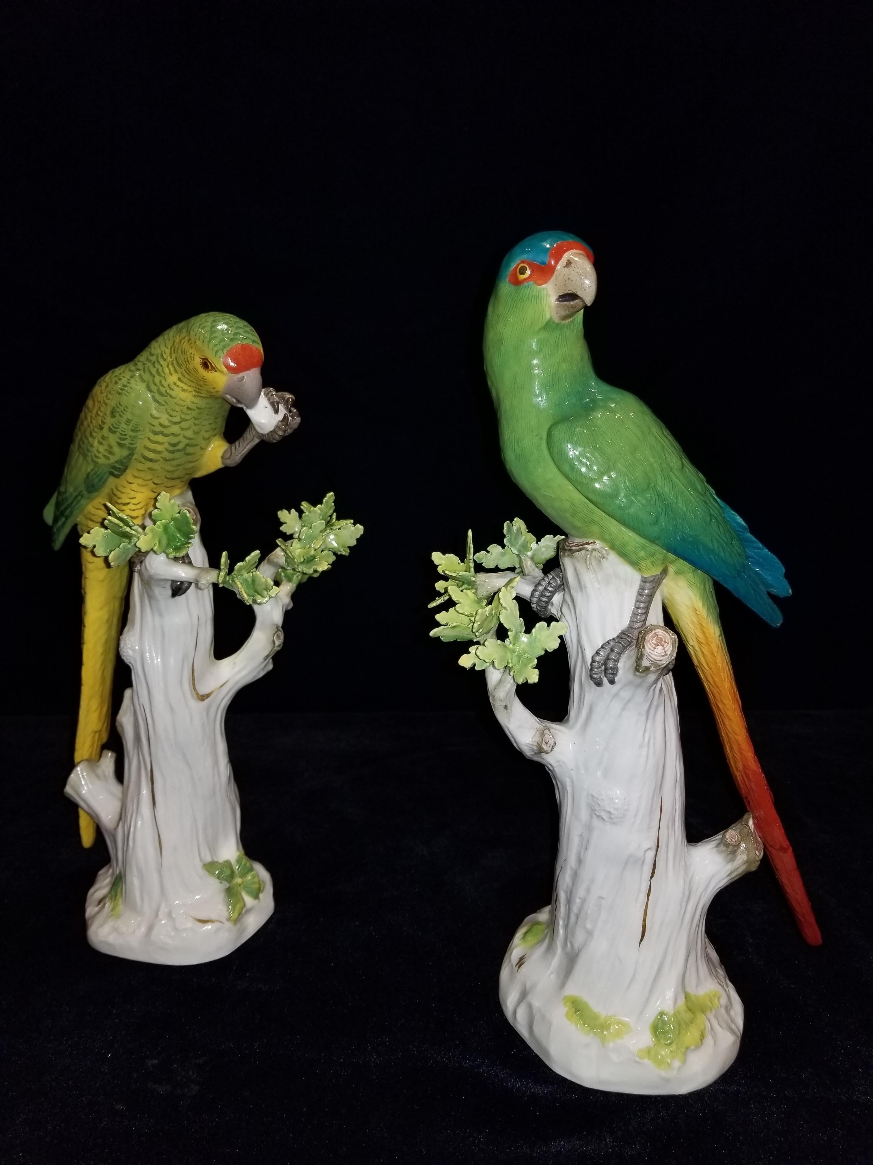 A fine pair of antique Meissen Porcelain figures of colorful parrots, each standing on a tree branch after a model by J. J. Kandler. One parrot is eating a fruit while the other parrot bearing beautiful leaves on its branches is glaring into the