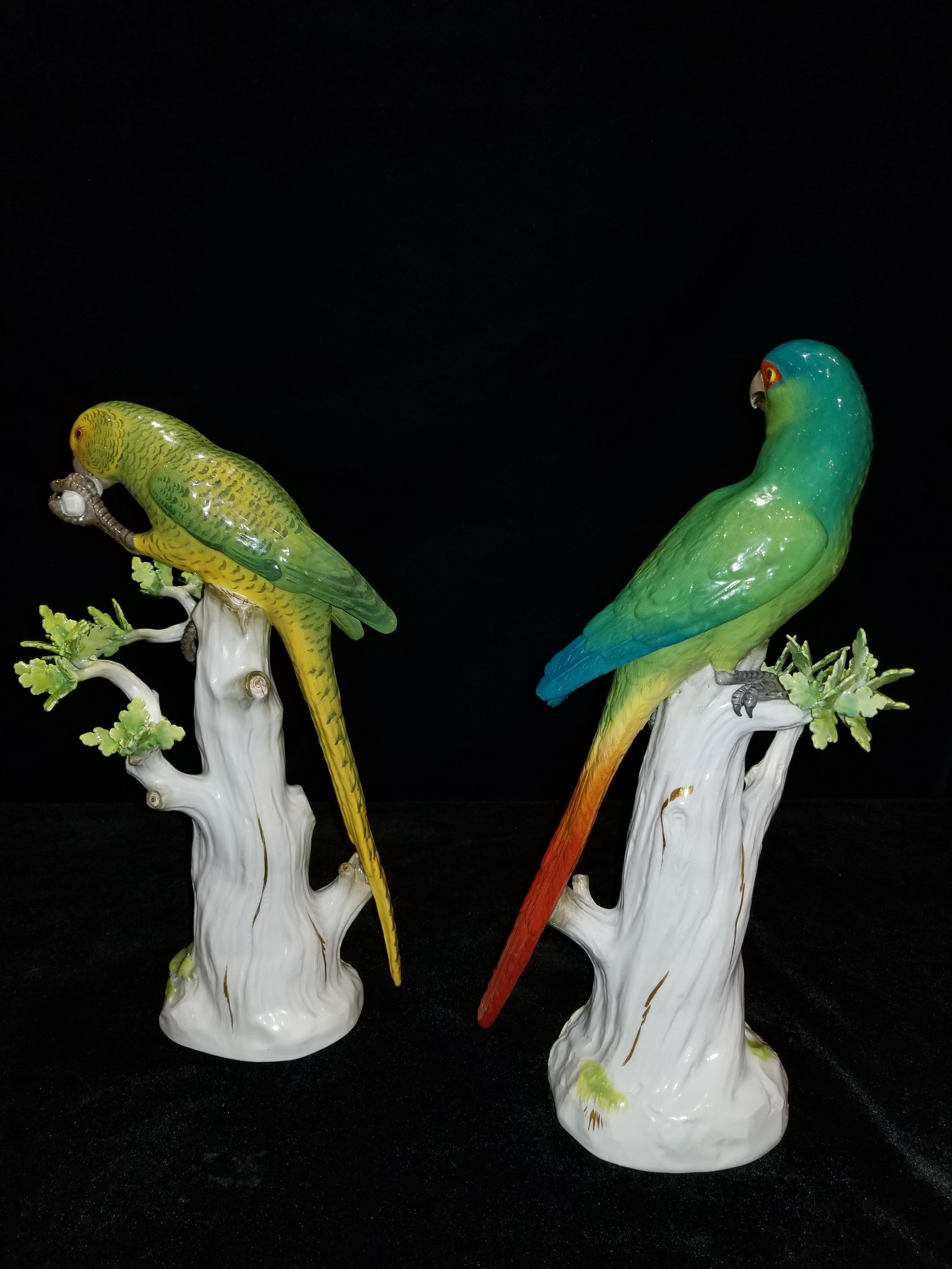 German Meissen Porcelain Figures of Parrots Standing on Tree Branches with Leaves, Pair