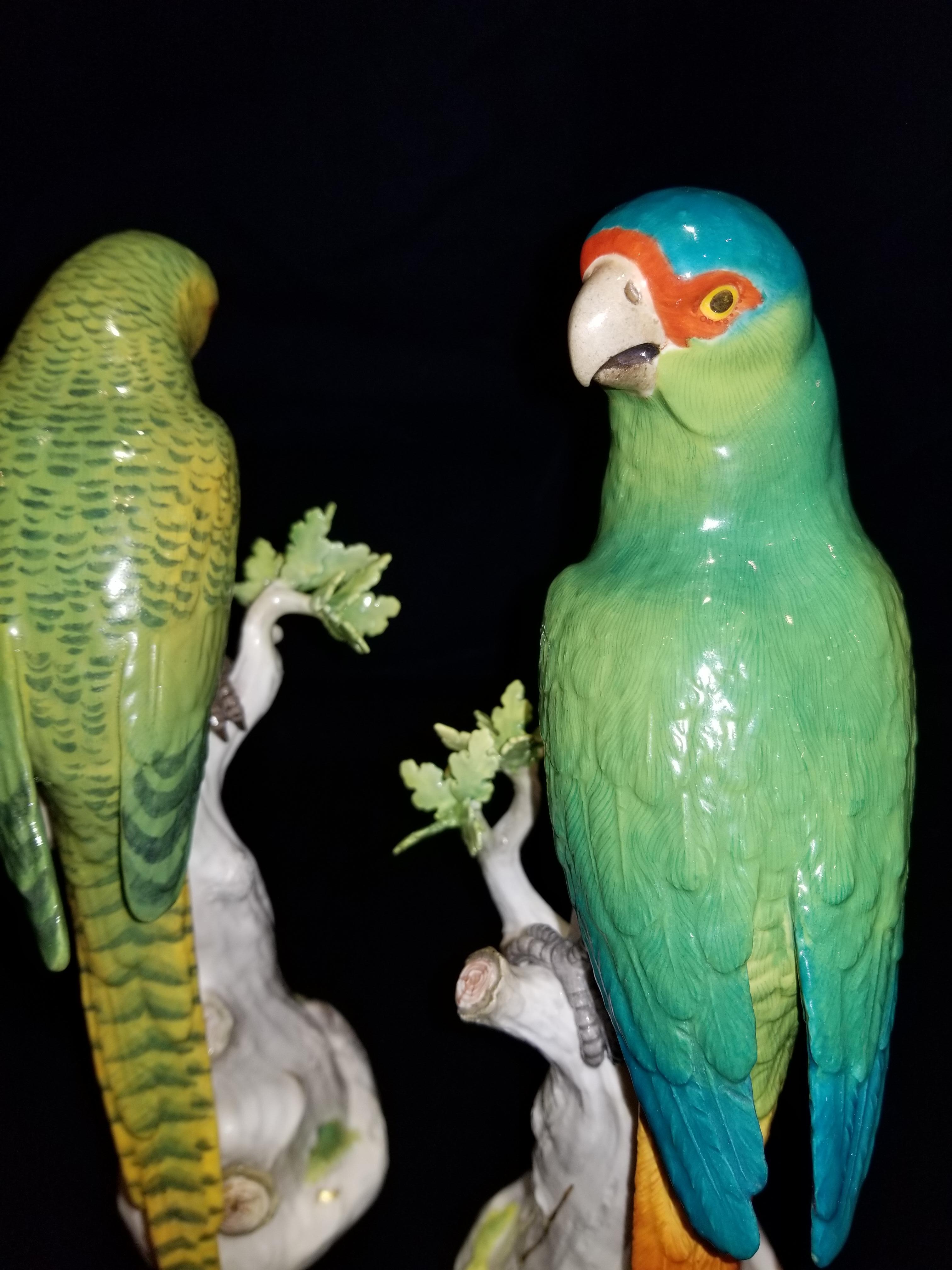 Meissen Porcelain Figures of Parrots Standing on Tree Branches with Leaves, Pair 1