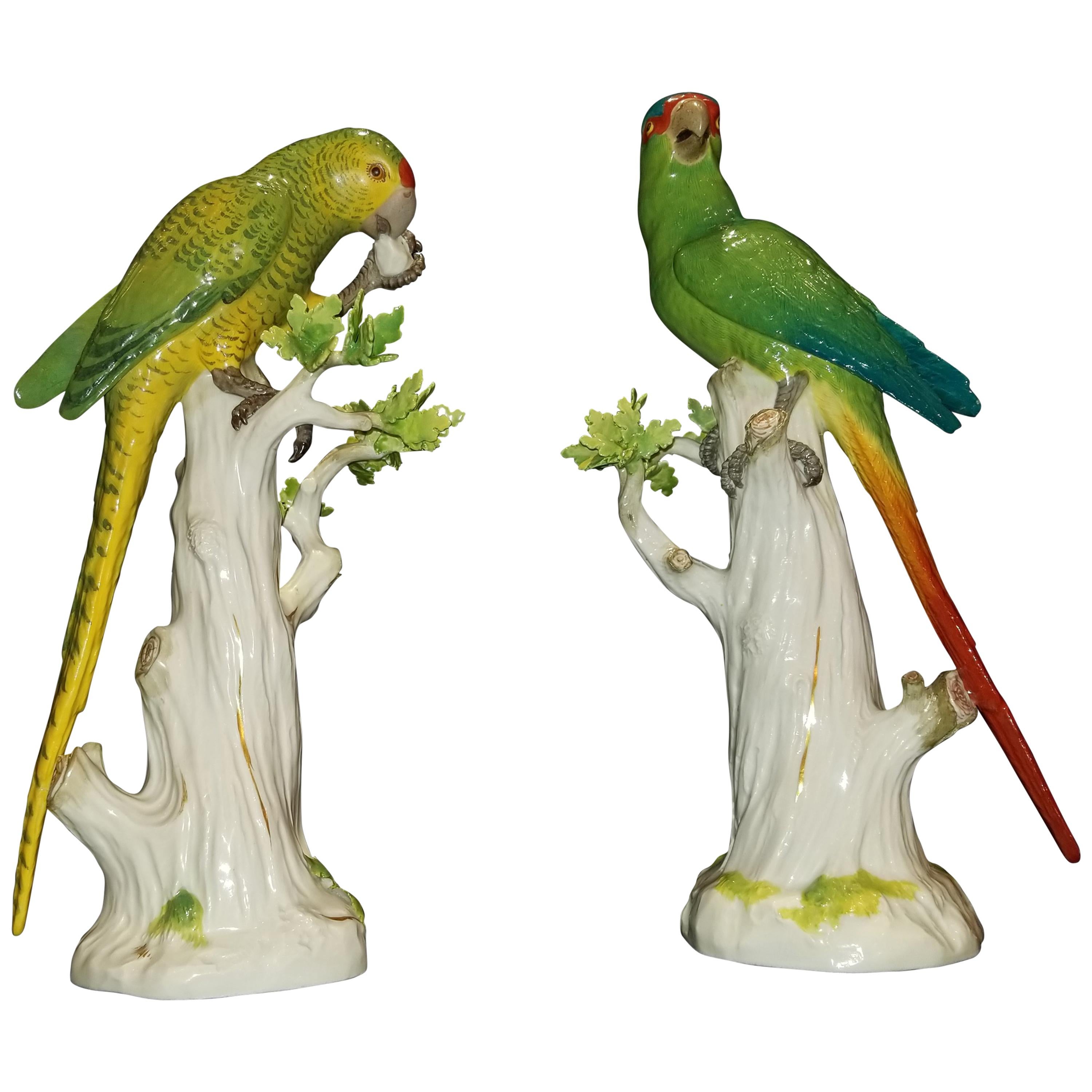 Meissen Porcelain Figures of Parrots Standing on Tree Branches with Leaves, Pair