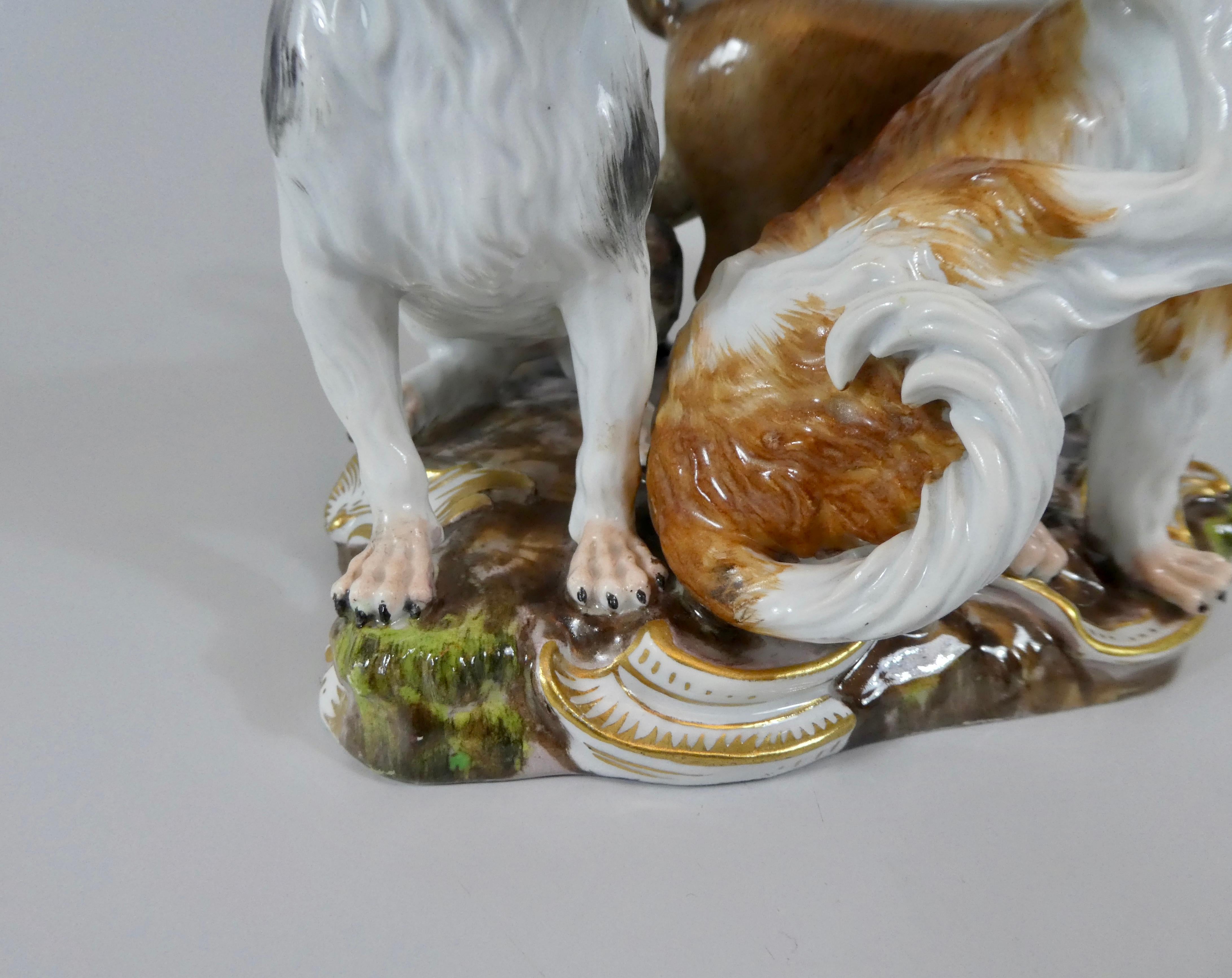 Meissen Porcelain Group of Dogs, circa 1860 1