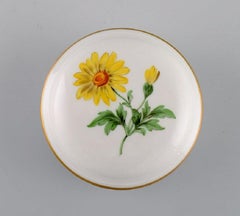 Meissen Porcelain Lidded Jar with Hand-Painted Flowers and Gold Edge
