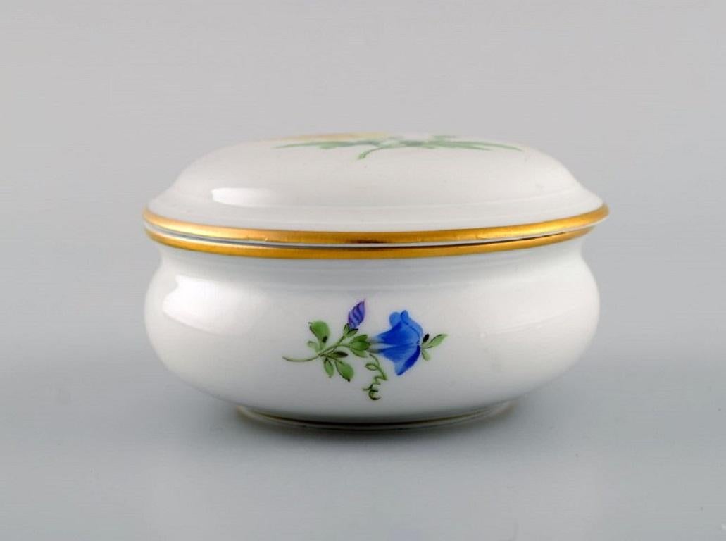German Meissen Porcelain Lidded Jar with Hand-Painted Flowers and Gold Edge