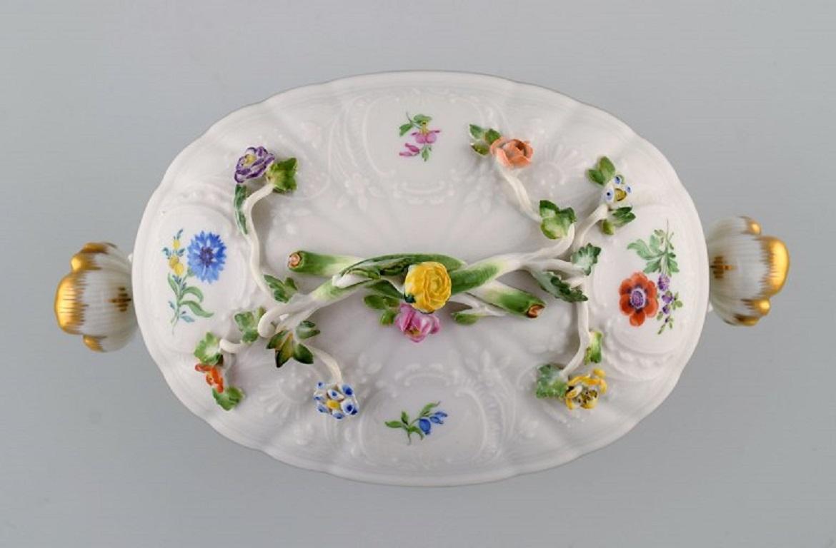 Meissener Porzellanterrine mit Deckel und handbemalten Blumen und Goldkante (Deutsch) im Angebot