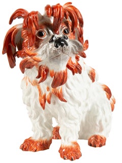 Meissen Porcelain Model of a Bolognese Dog