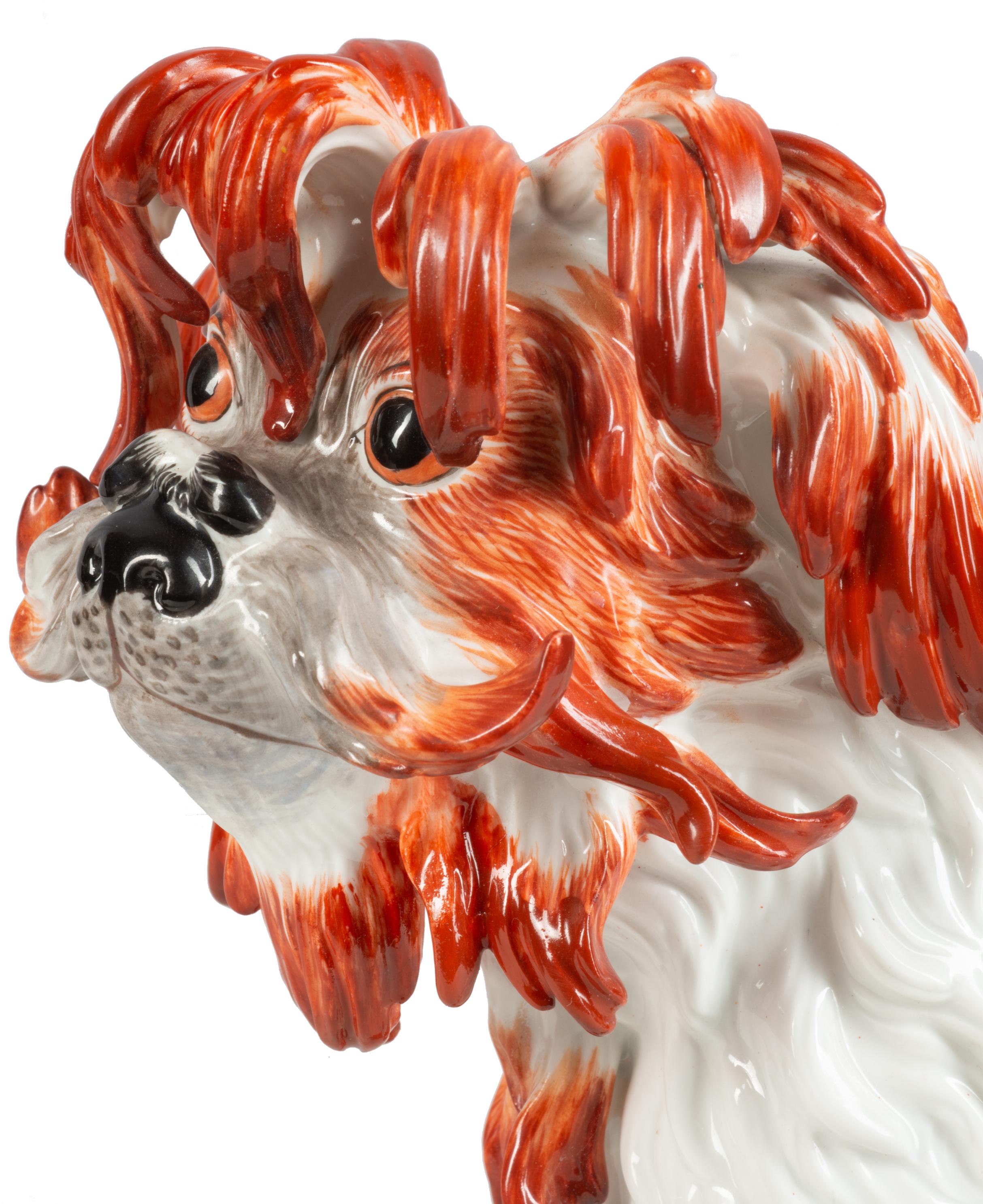 German Meissen Porcelain Model of a Bolognese Dog