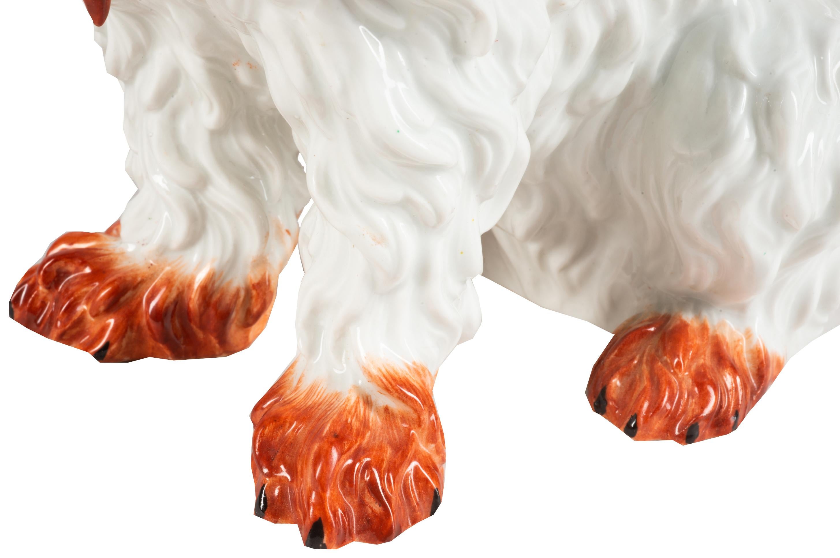 Hand-Painted Meissen Porcelain Model of a Bolognese Dog