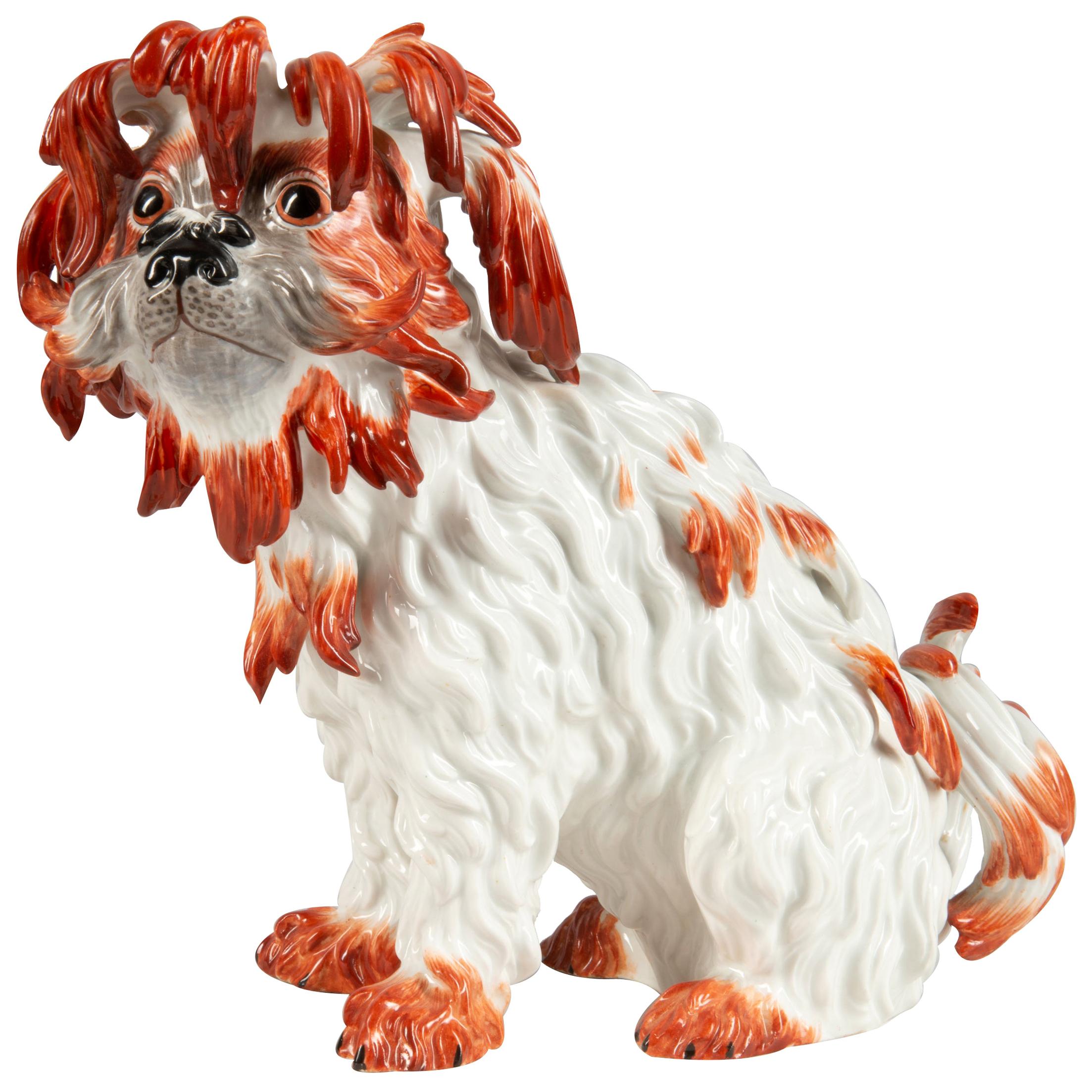 Meissen Porcelain Model of a Bolognese Dog