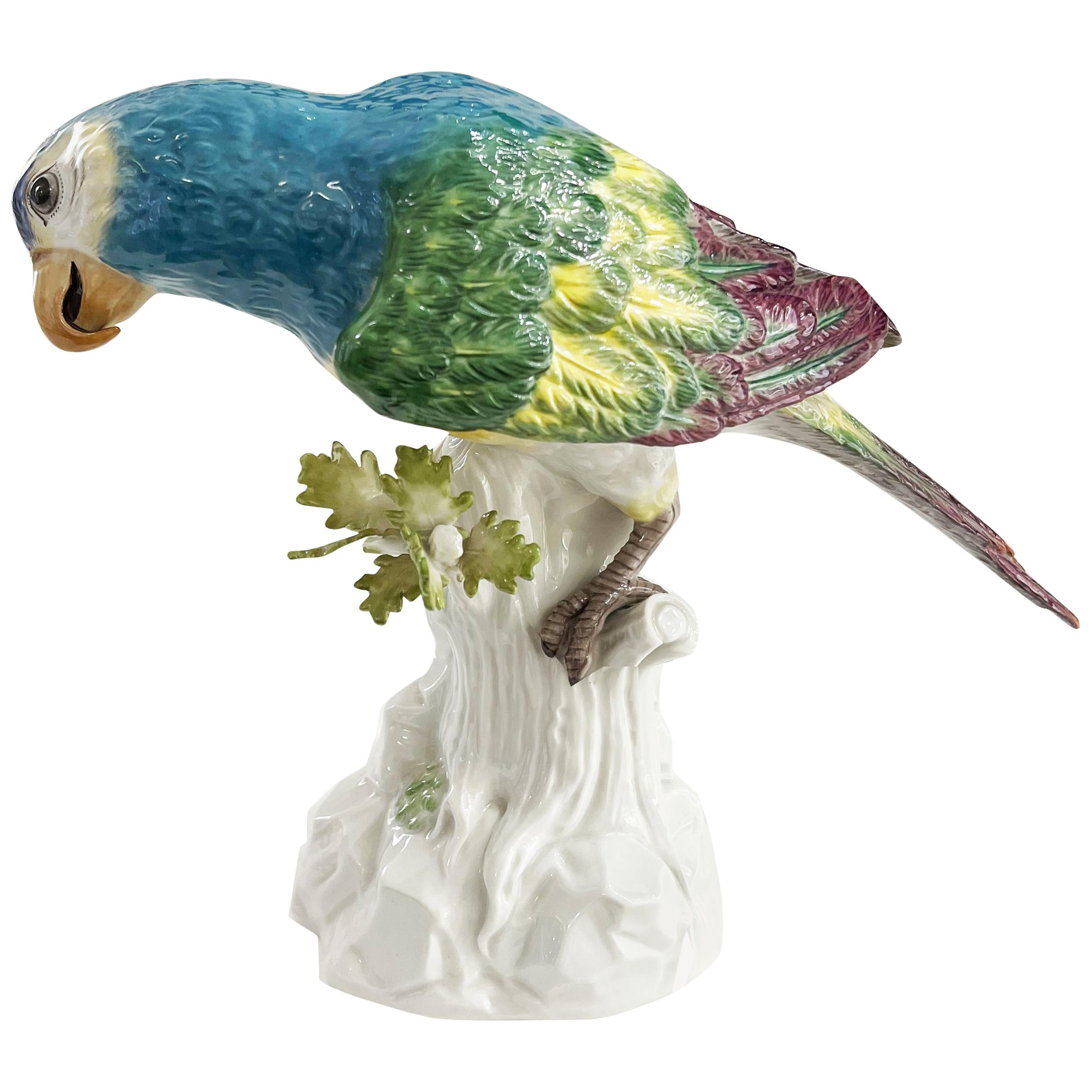 Hand Painted Multicolored Porcelain Parrot, Meissen Manufactory For Sale