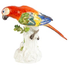Meissen Porcelain Parrot, Late 19th Century