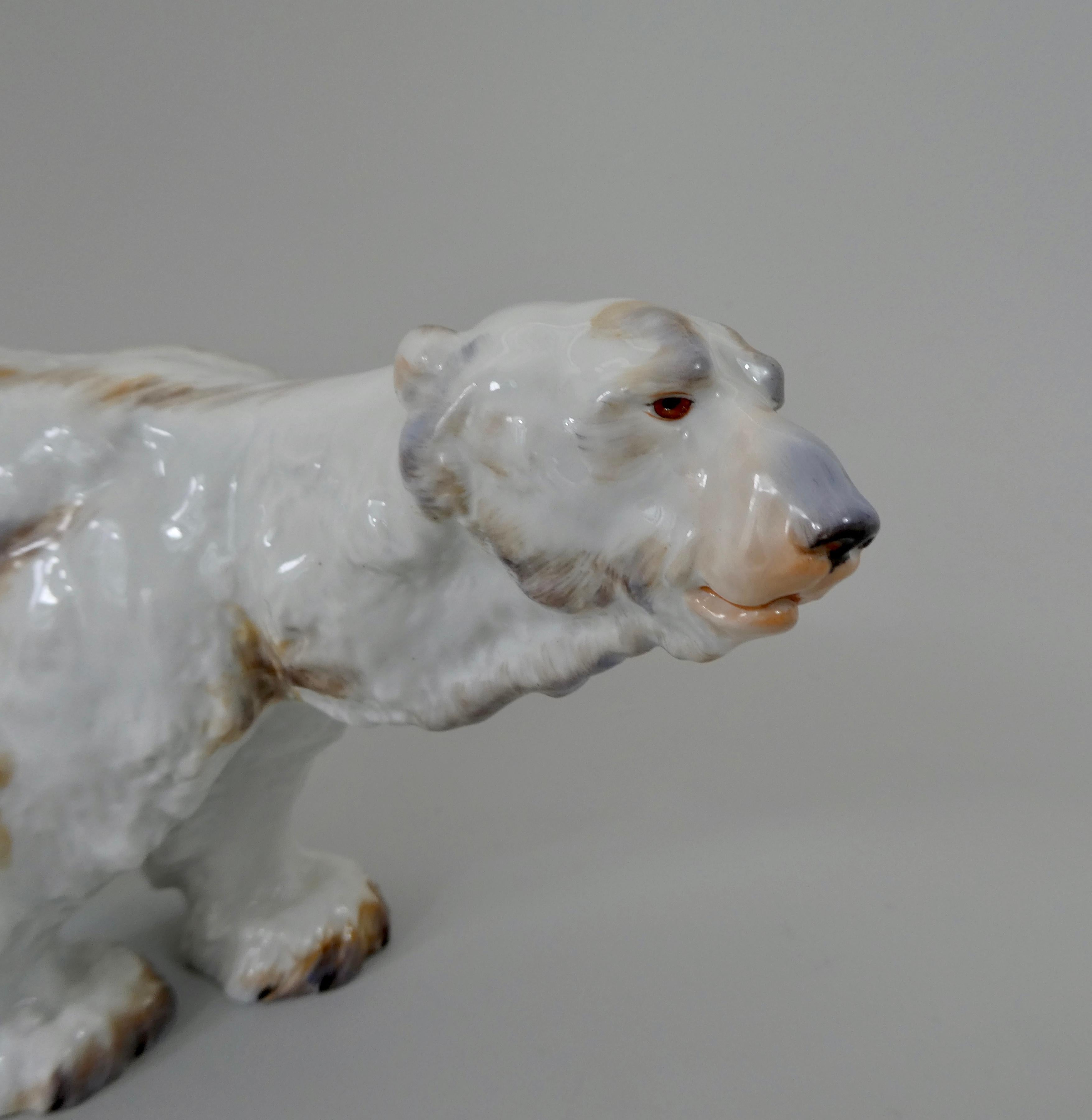 Meissen porcelain figure of a Polar Bear, early 20th century. Finely modelled by Otto Jarl, the striding bears hair being beautifully delineated, and heightened in underglaze enamels.
Underglaze blue Crossed Swords mark, and model number ‘2874’ to