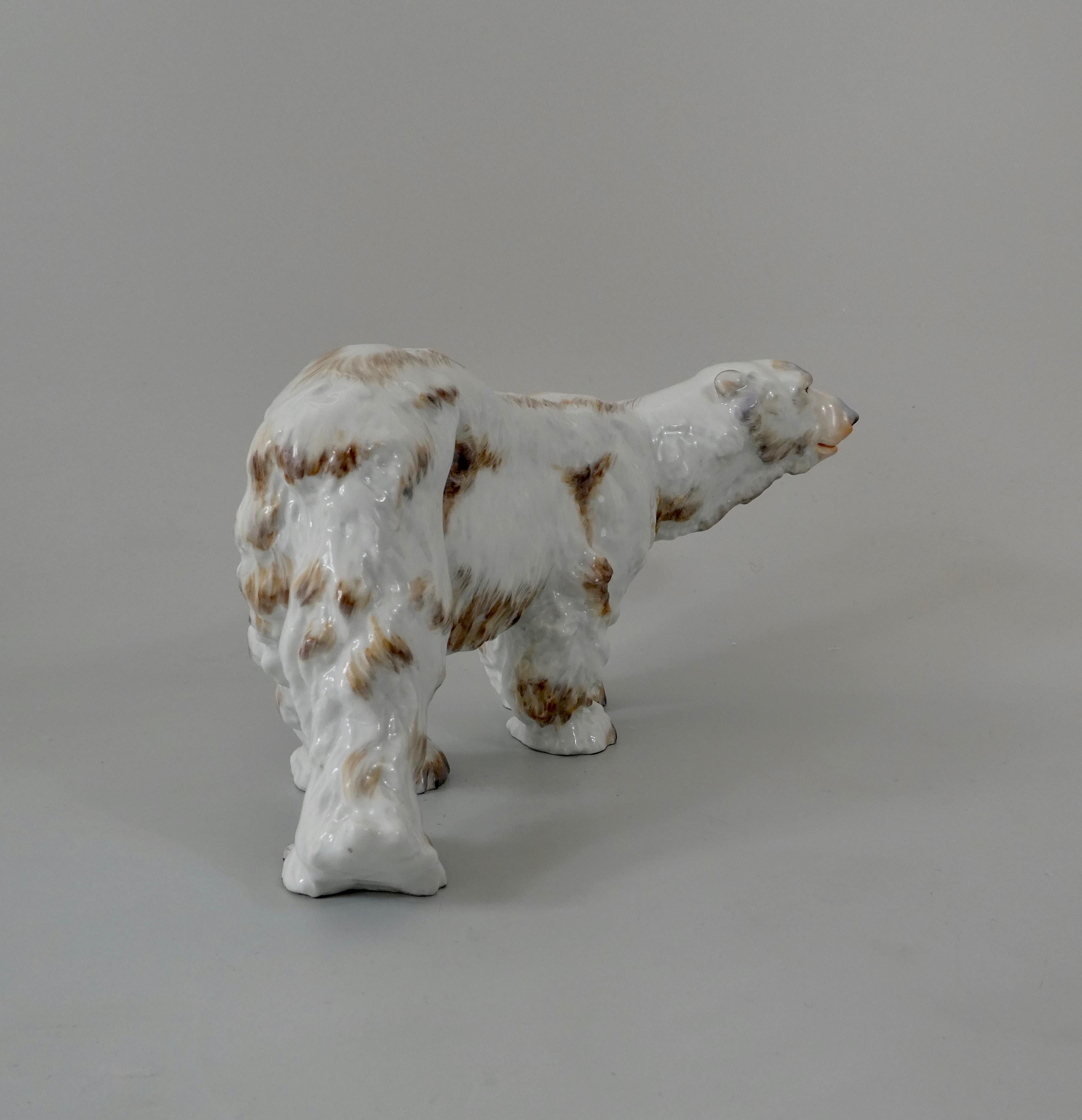 Edwardian Meissen Porcelain Polar Bear, Otto Jarl, 20th Century