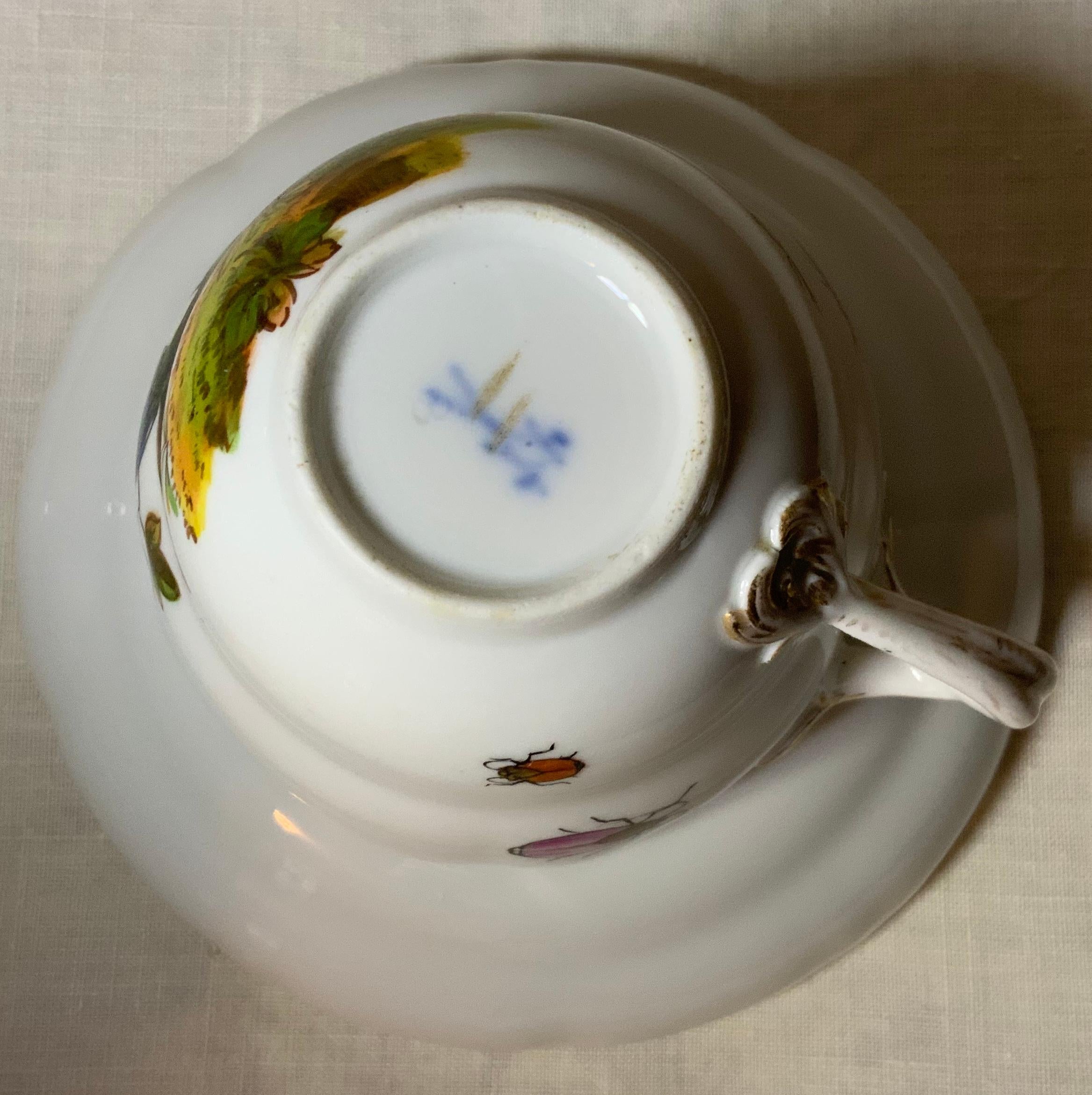 Meissen Porcelain Rothschild Pattern Birds Set of Cup And Saucer For Sale 8