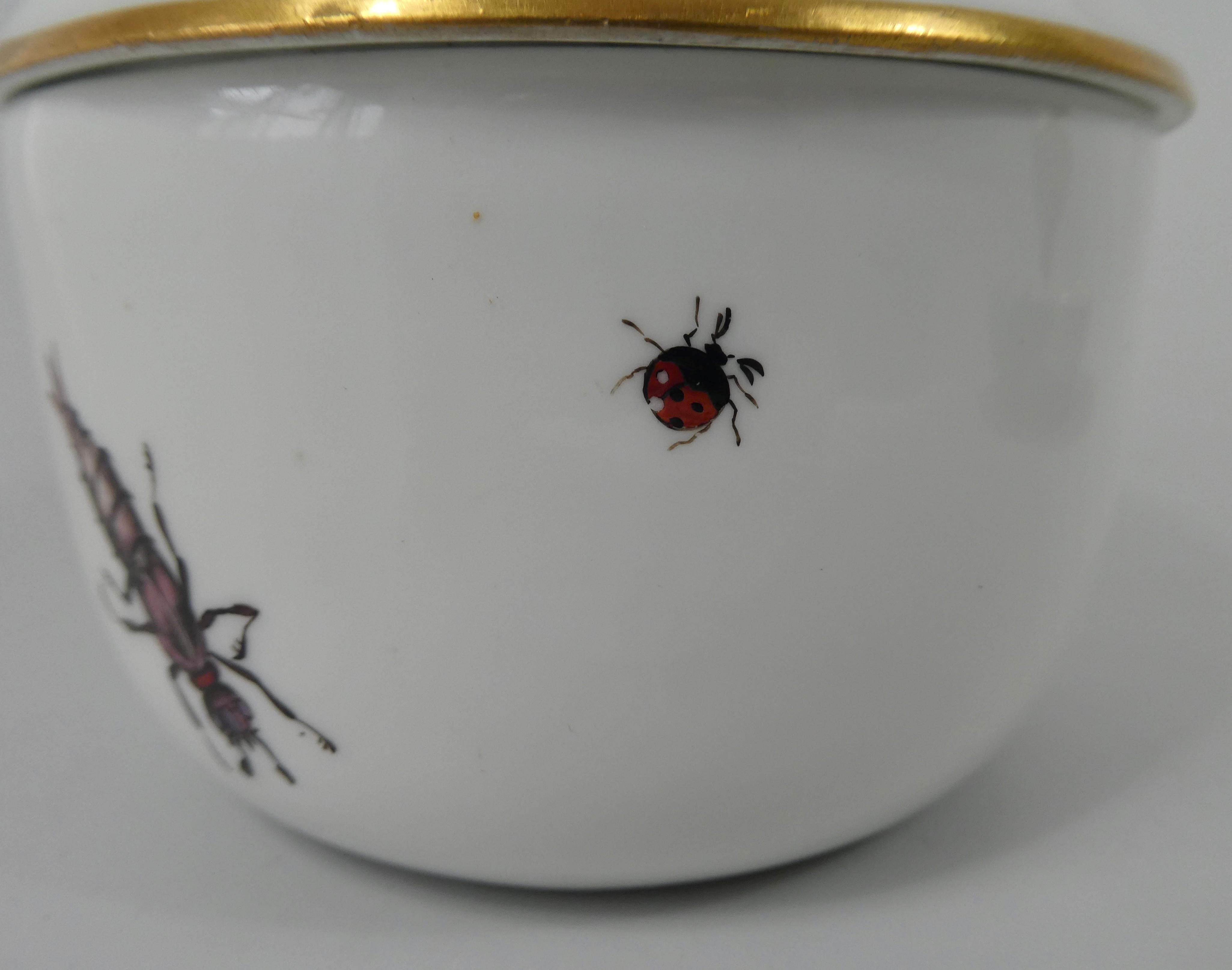 Sucrier et couvercle en porcelaine de Meissen:: peint d'insectes:: vers 1740 2