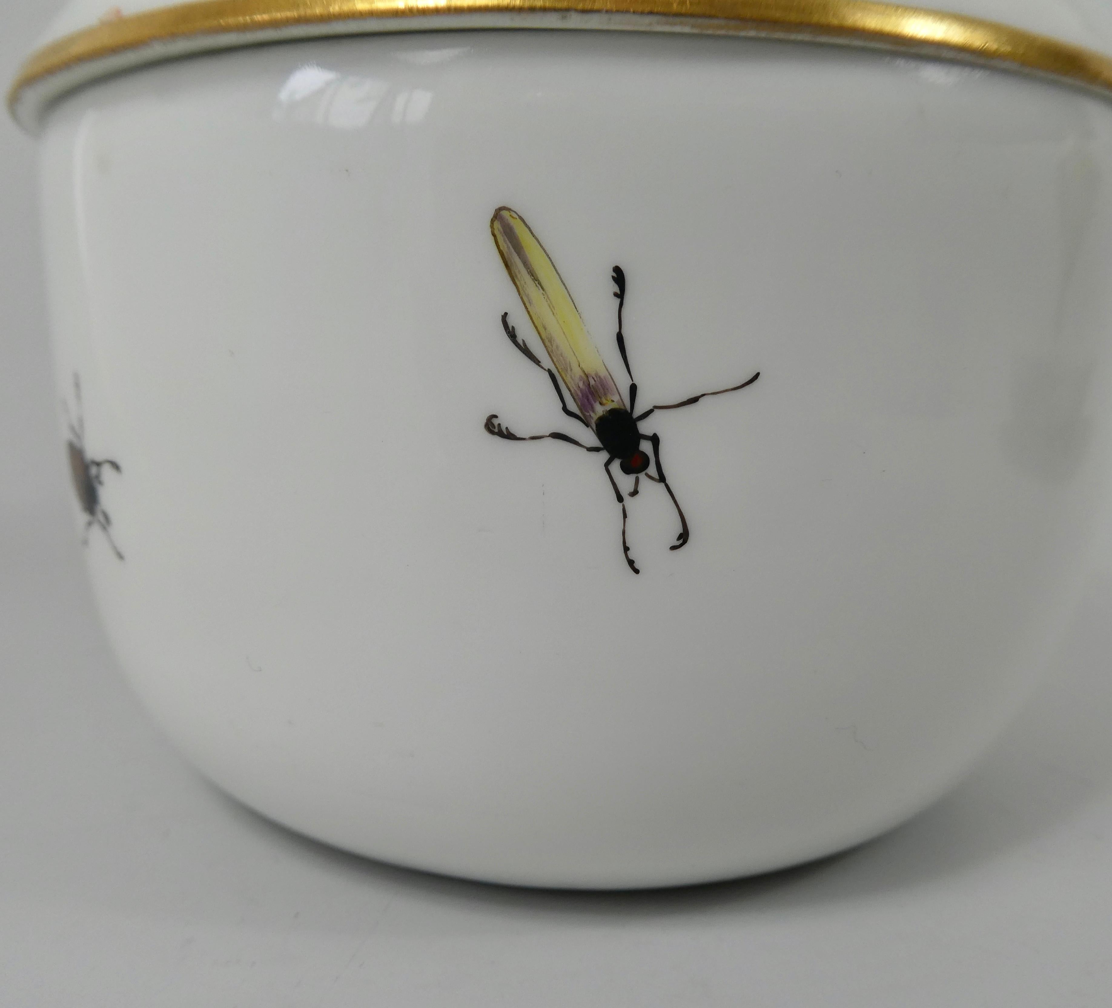 Sucrier et couvercle en porcelaine de Meissen:: peint d'insectes:: vers 1740 4